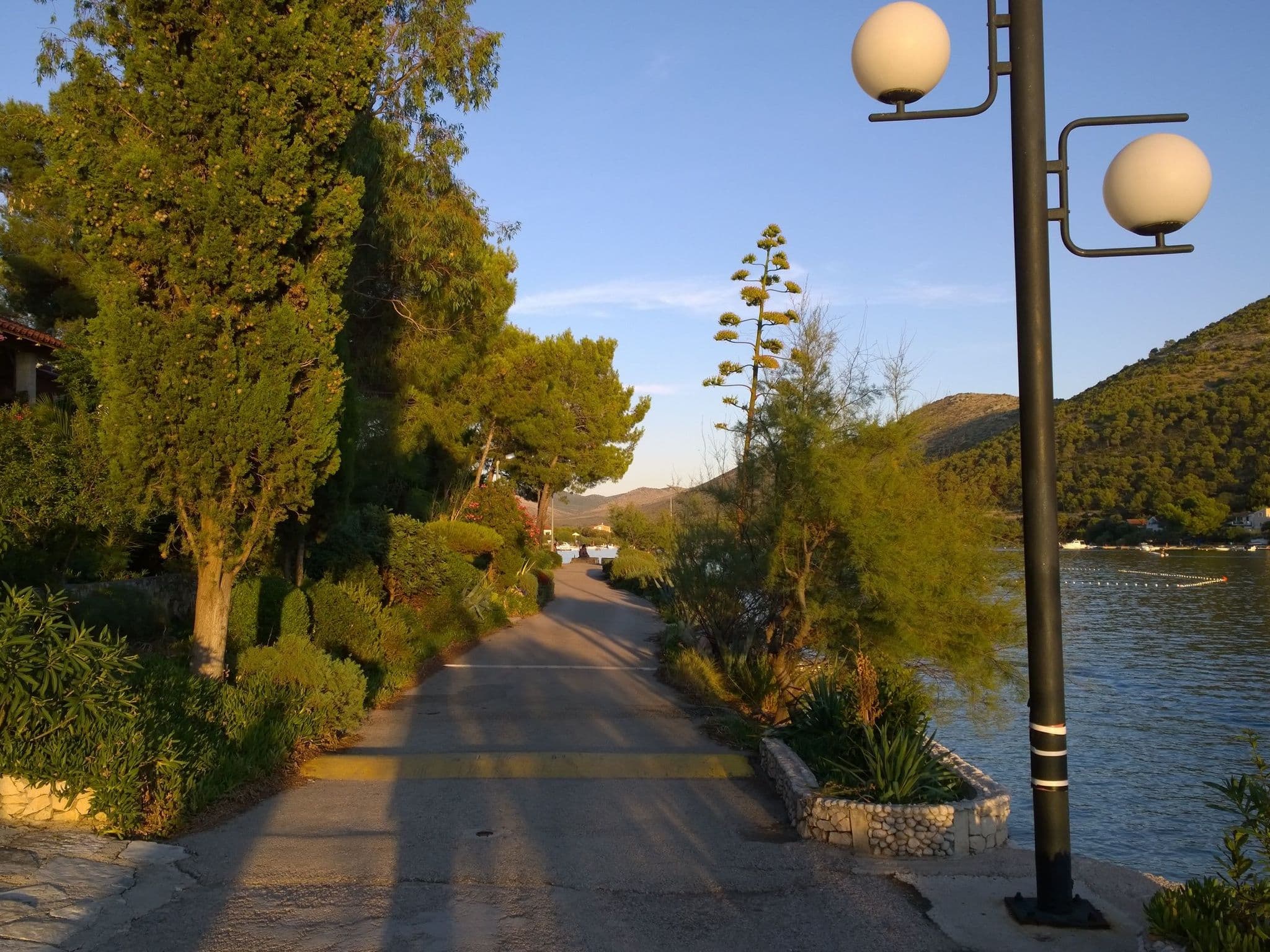 View