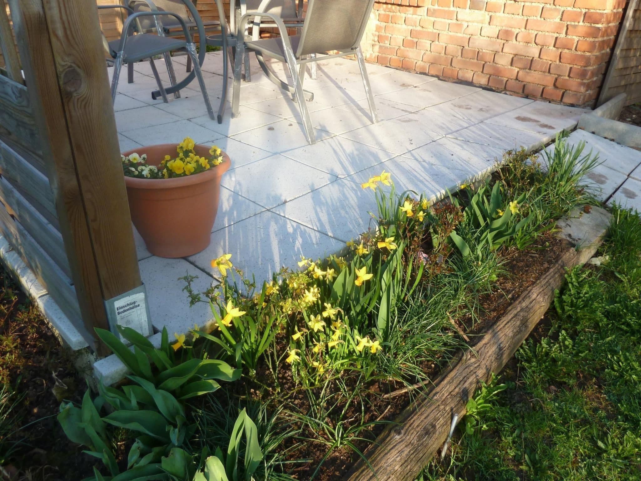 Gallery Image 12