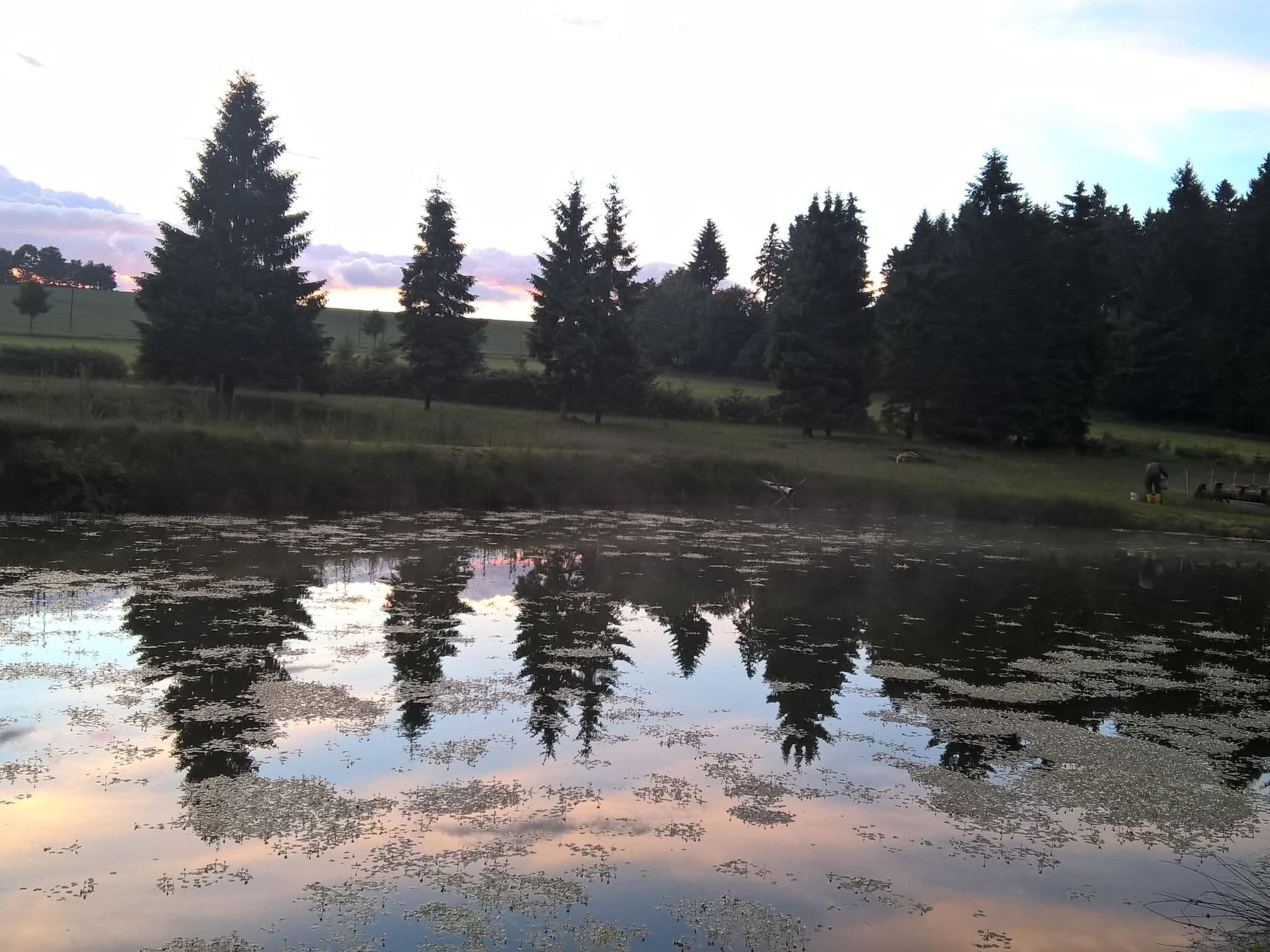 Gallery Image 21