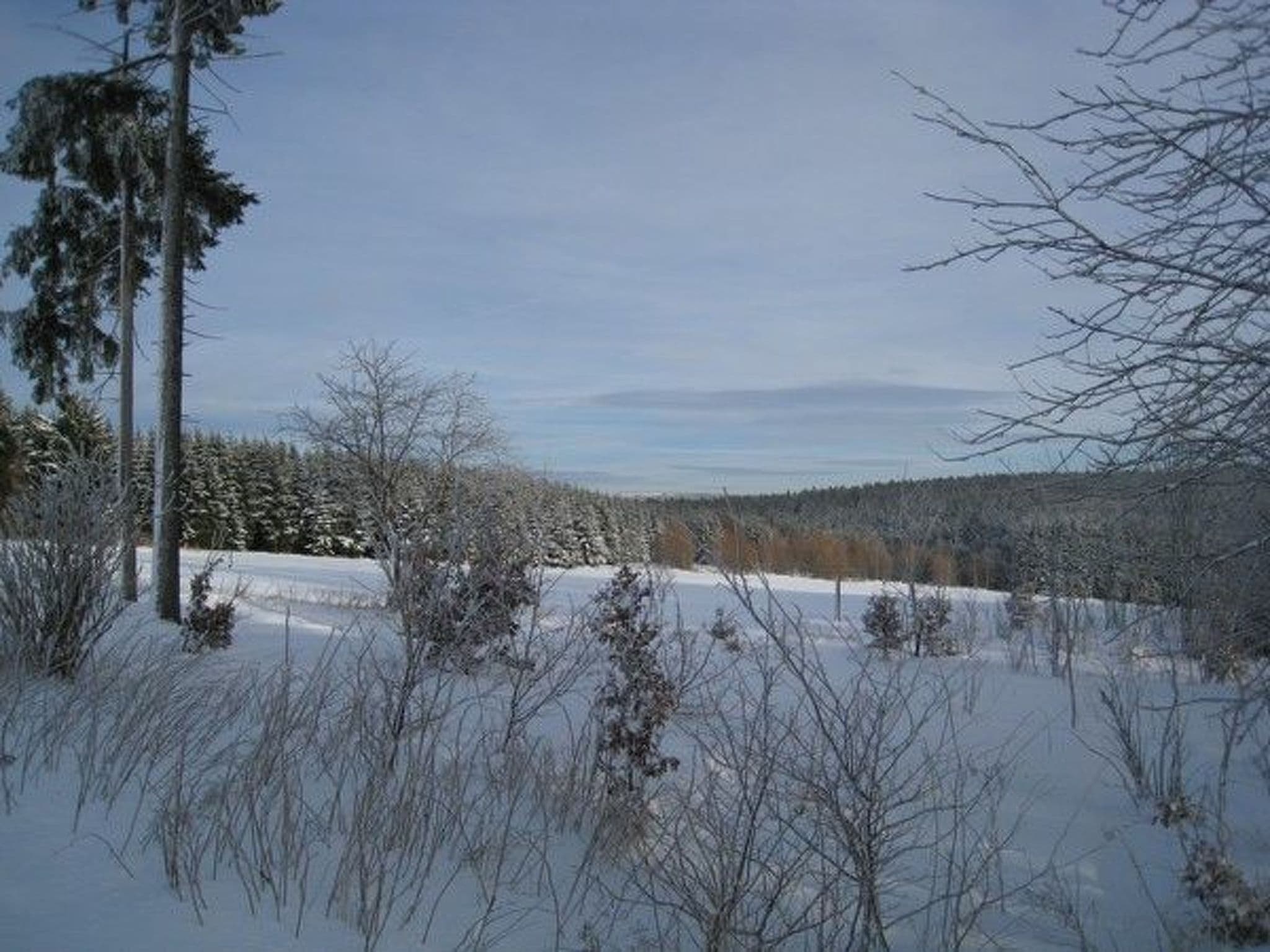 Gallery Image 32
