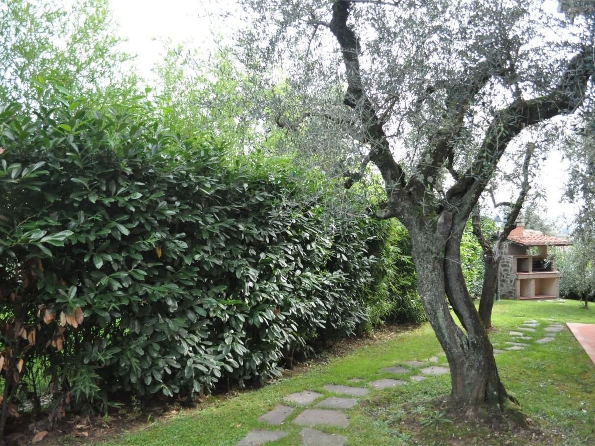 Gallery Image 15