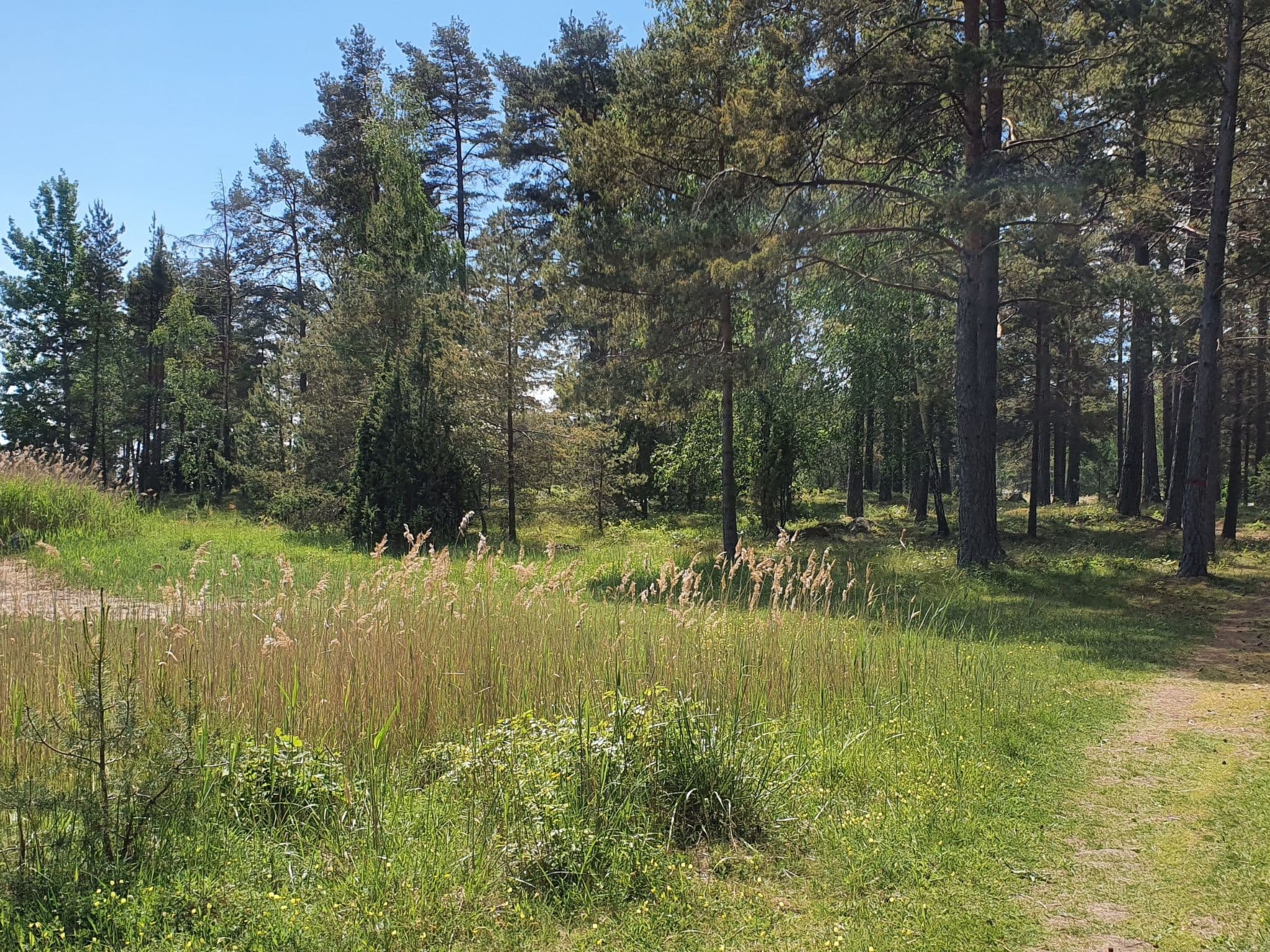 Gallery Image 66