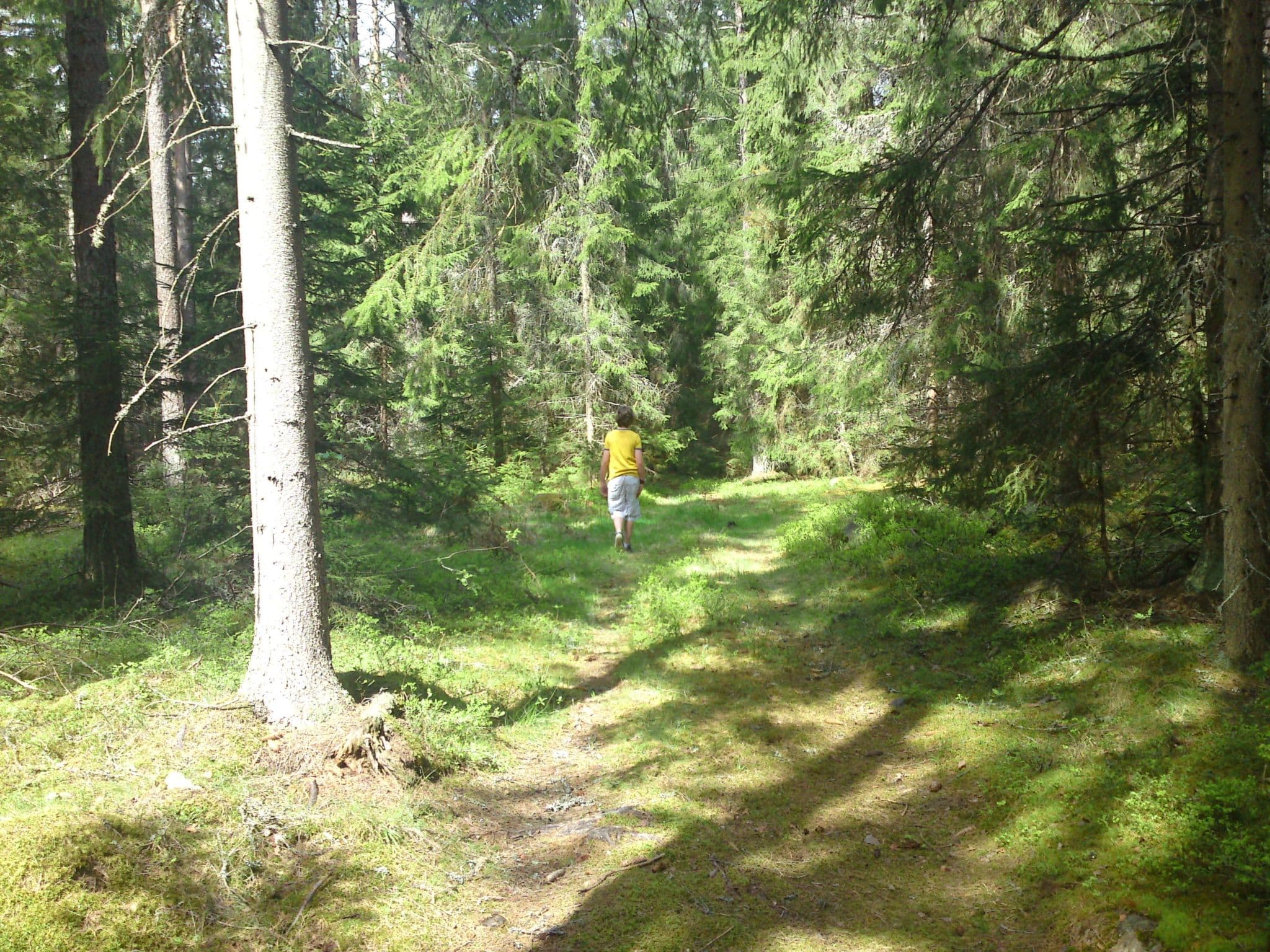 Gallery Image 15