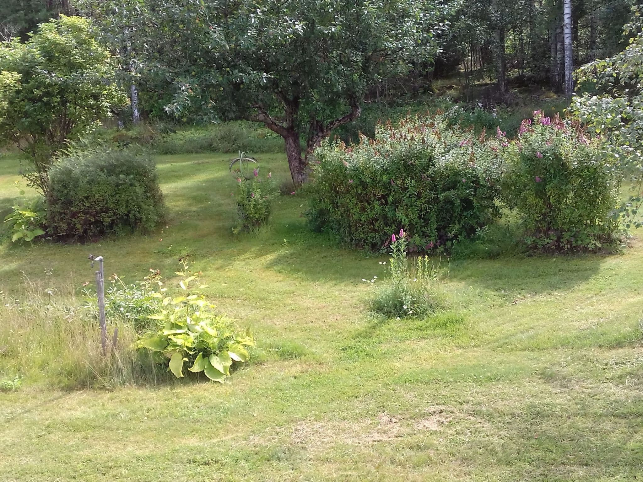 Gallery Image 54