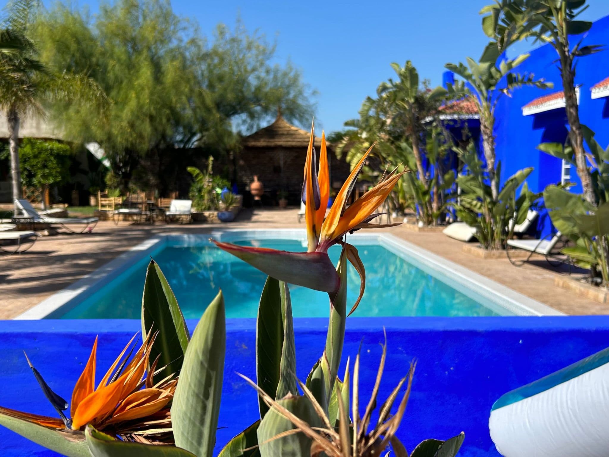 Pool Outdoor