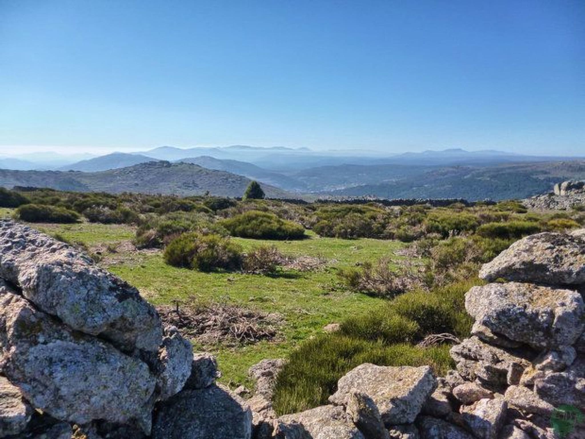 View