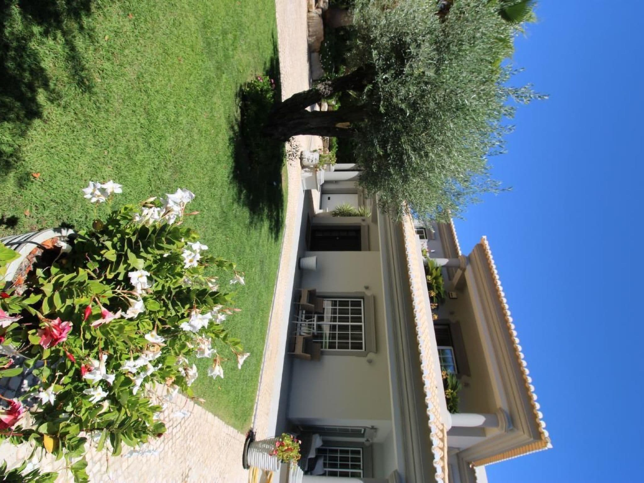 Gallery Image 56