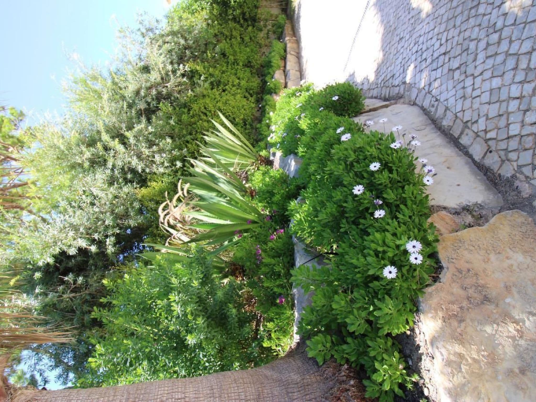 Gallery Image 78