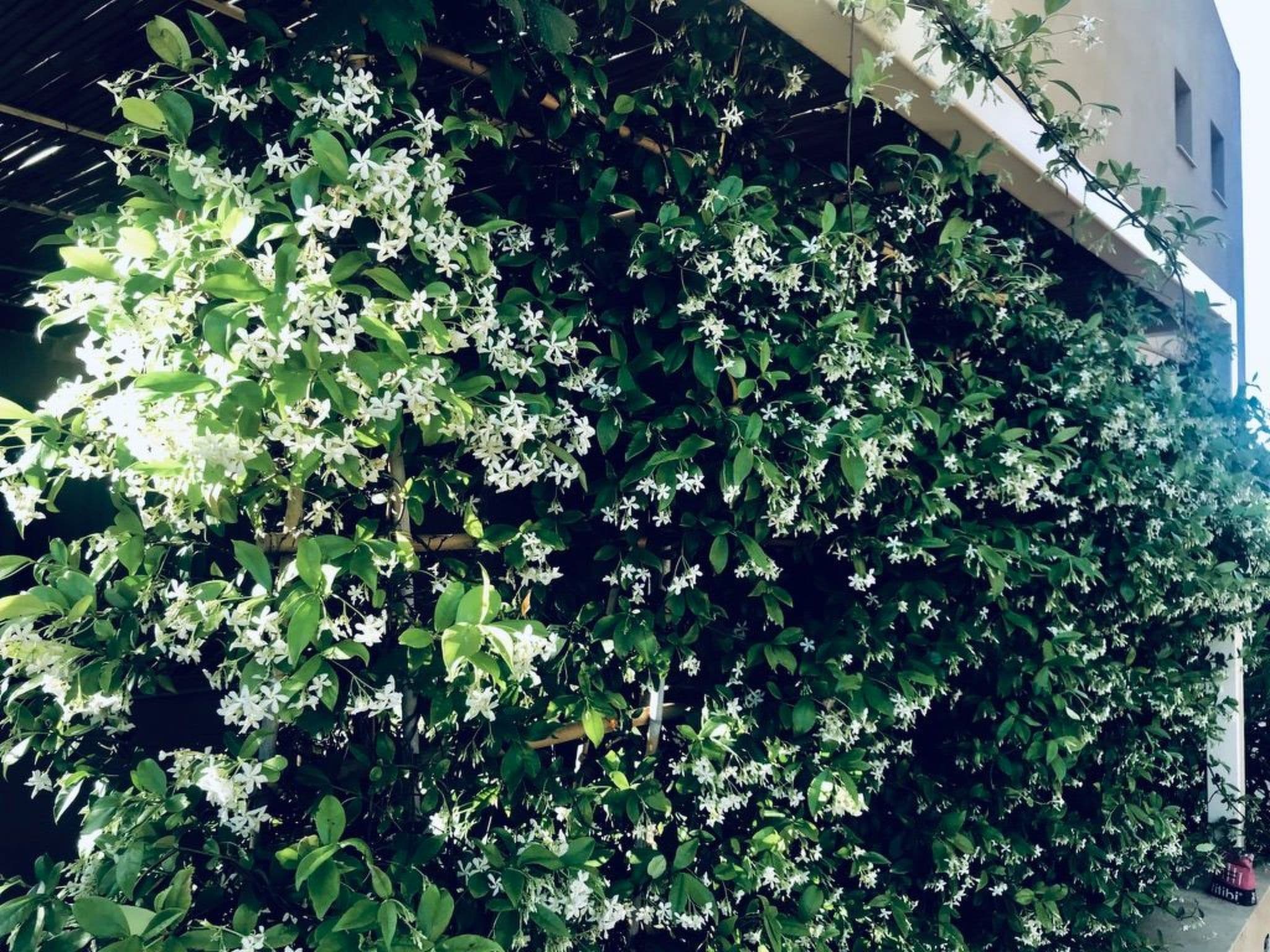 Gallery Image 29