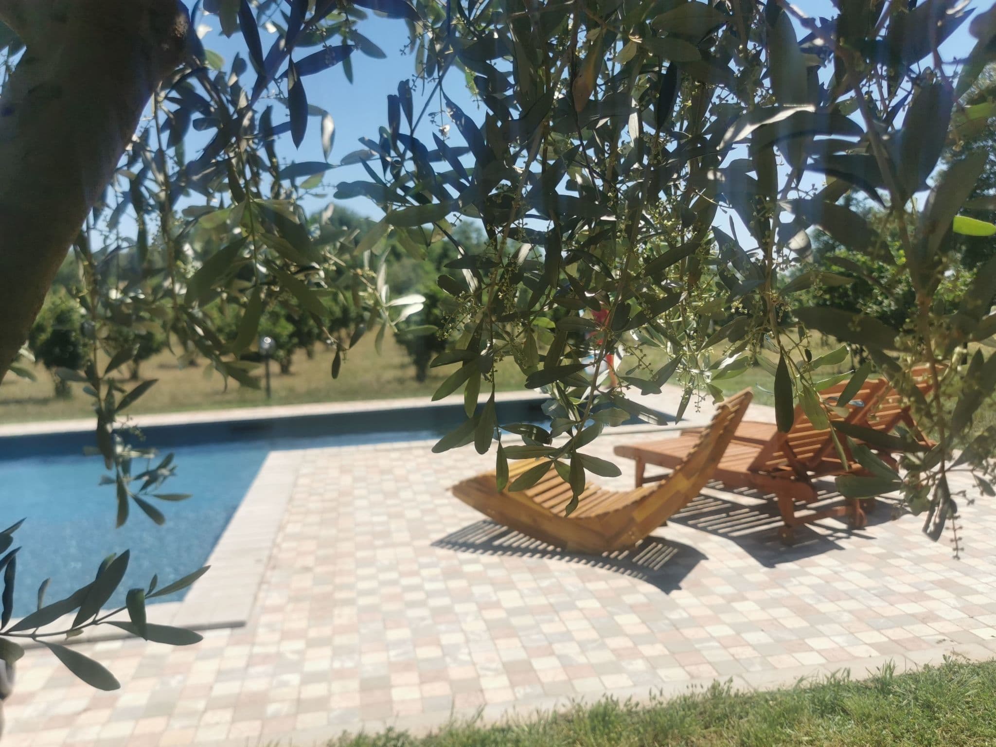 Pool Outdoor