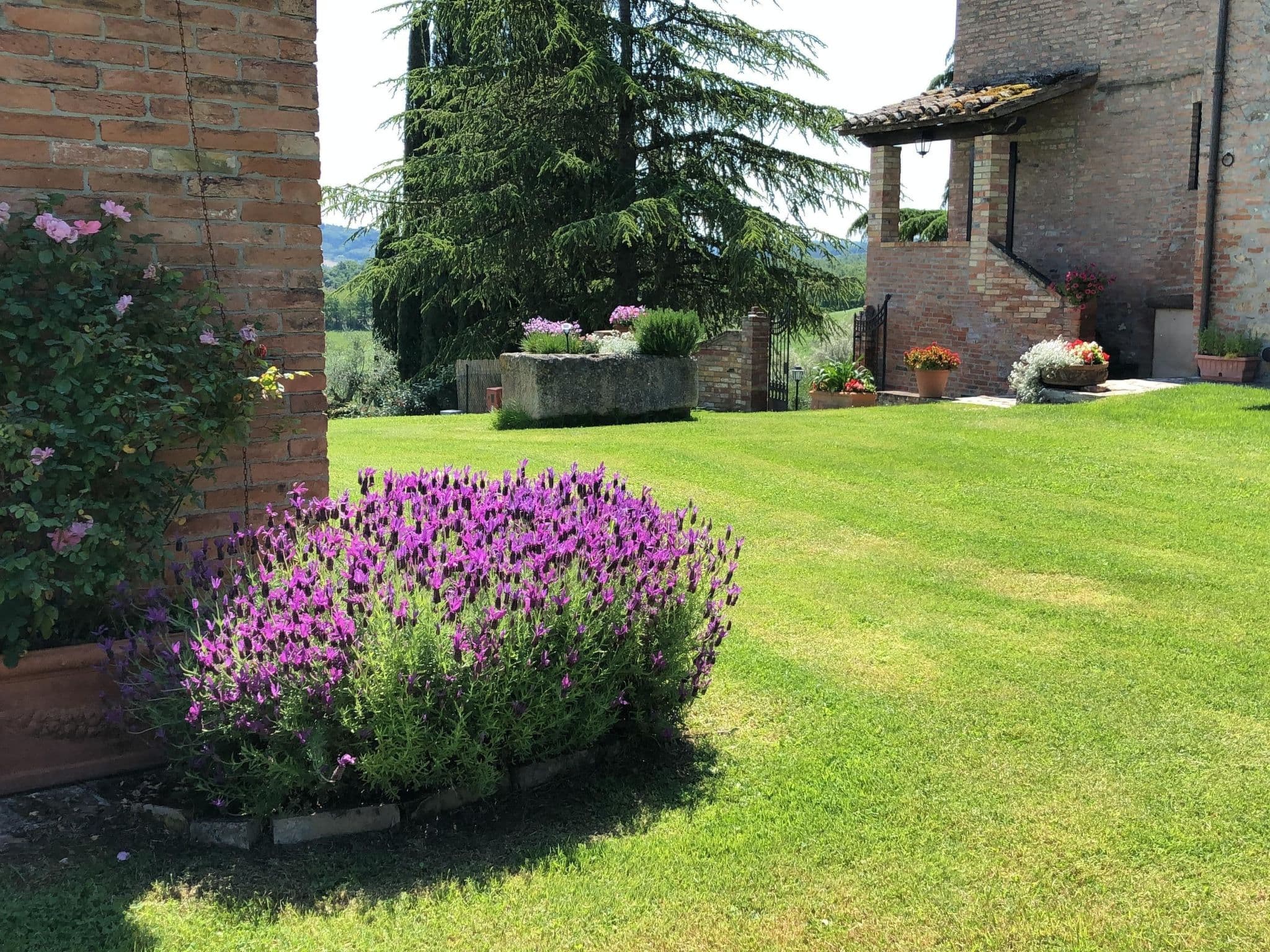 Gallery Image 13