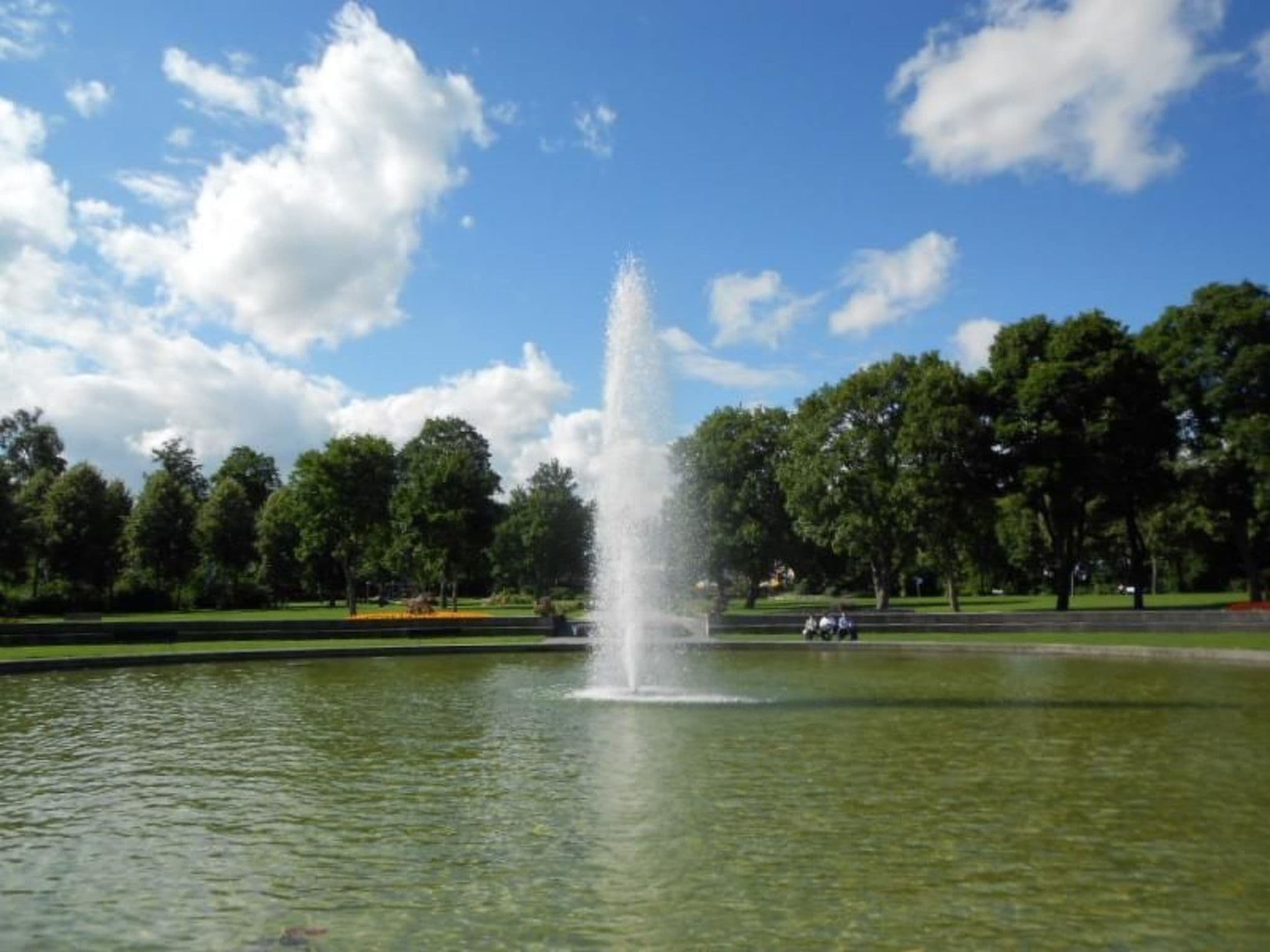 Gallery Image 11