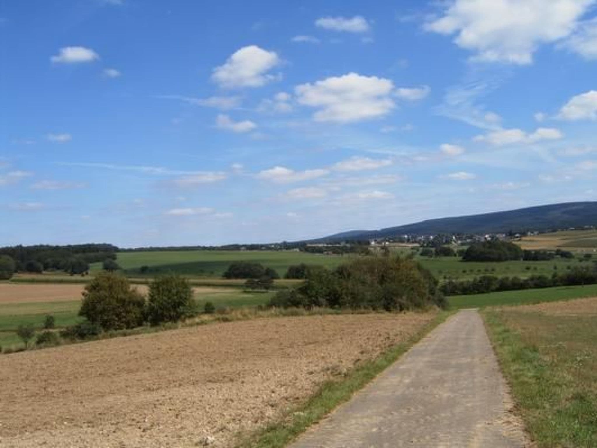 View