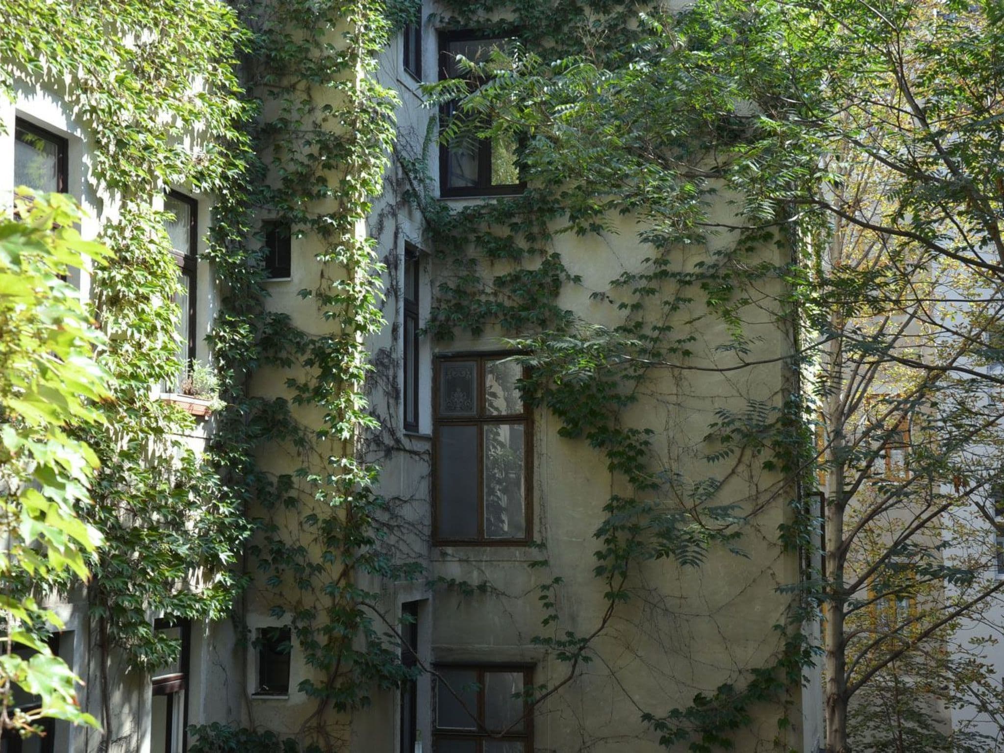 Gallery Image 25