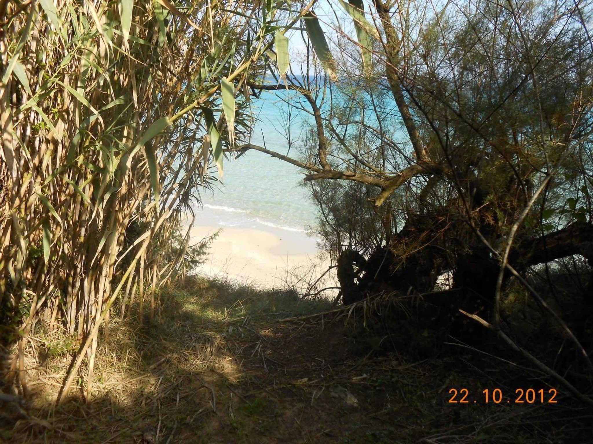 Gallery Image 39