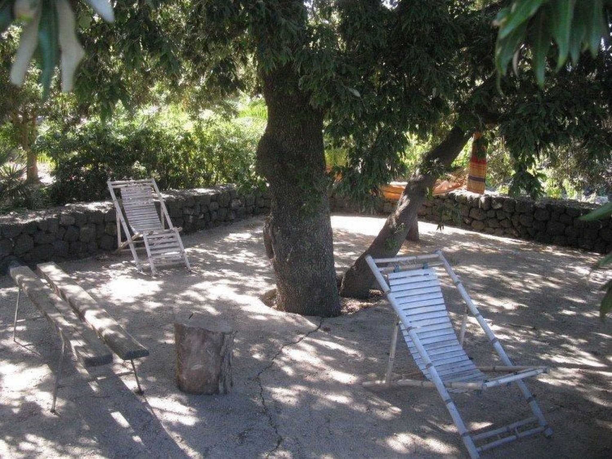 Gallery Image 13