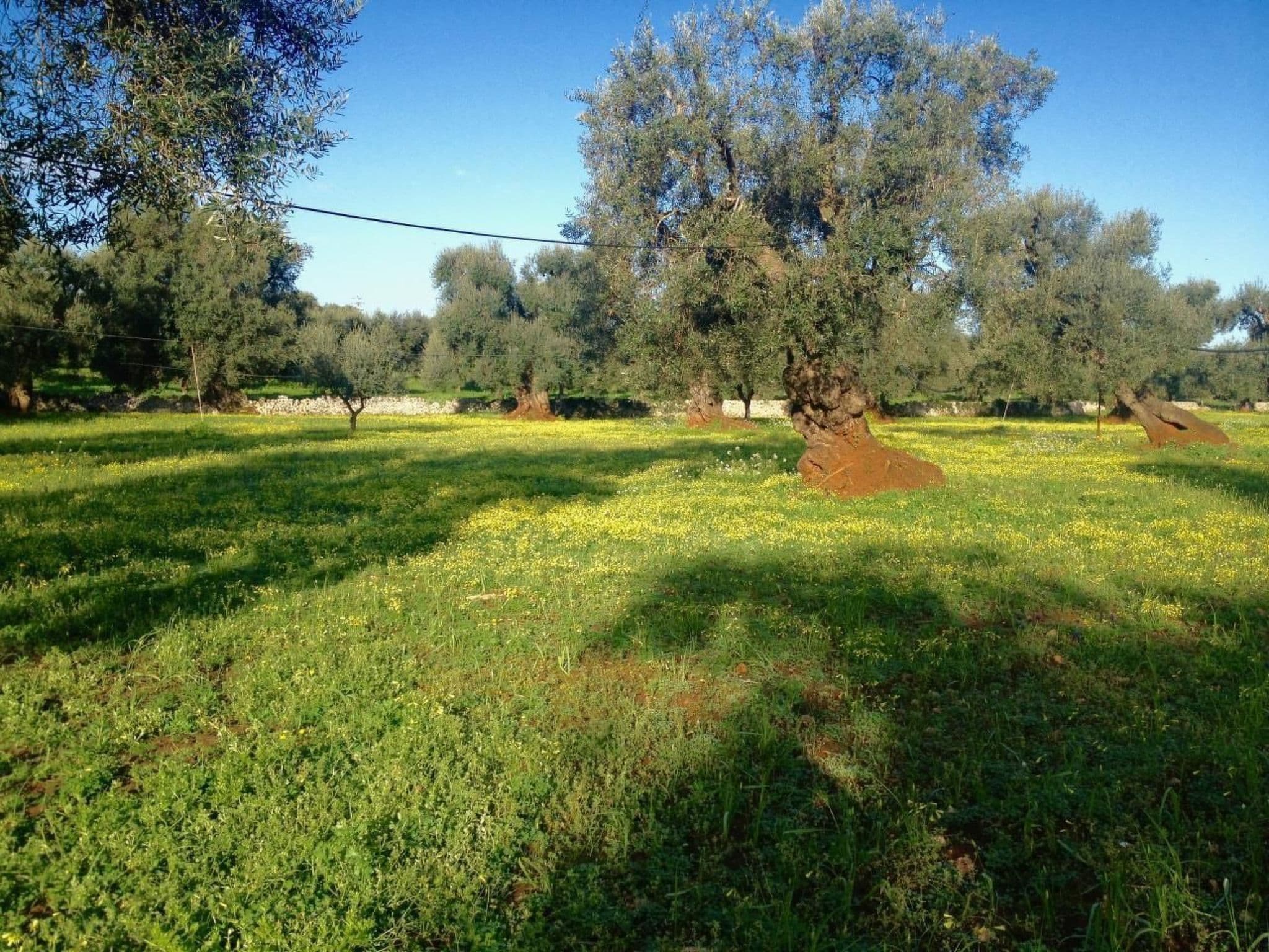 Gallery Image 17