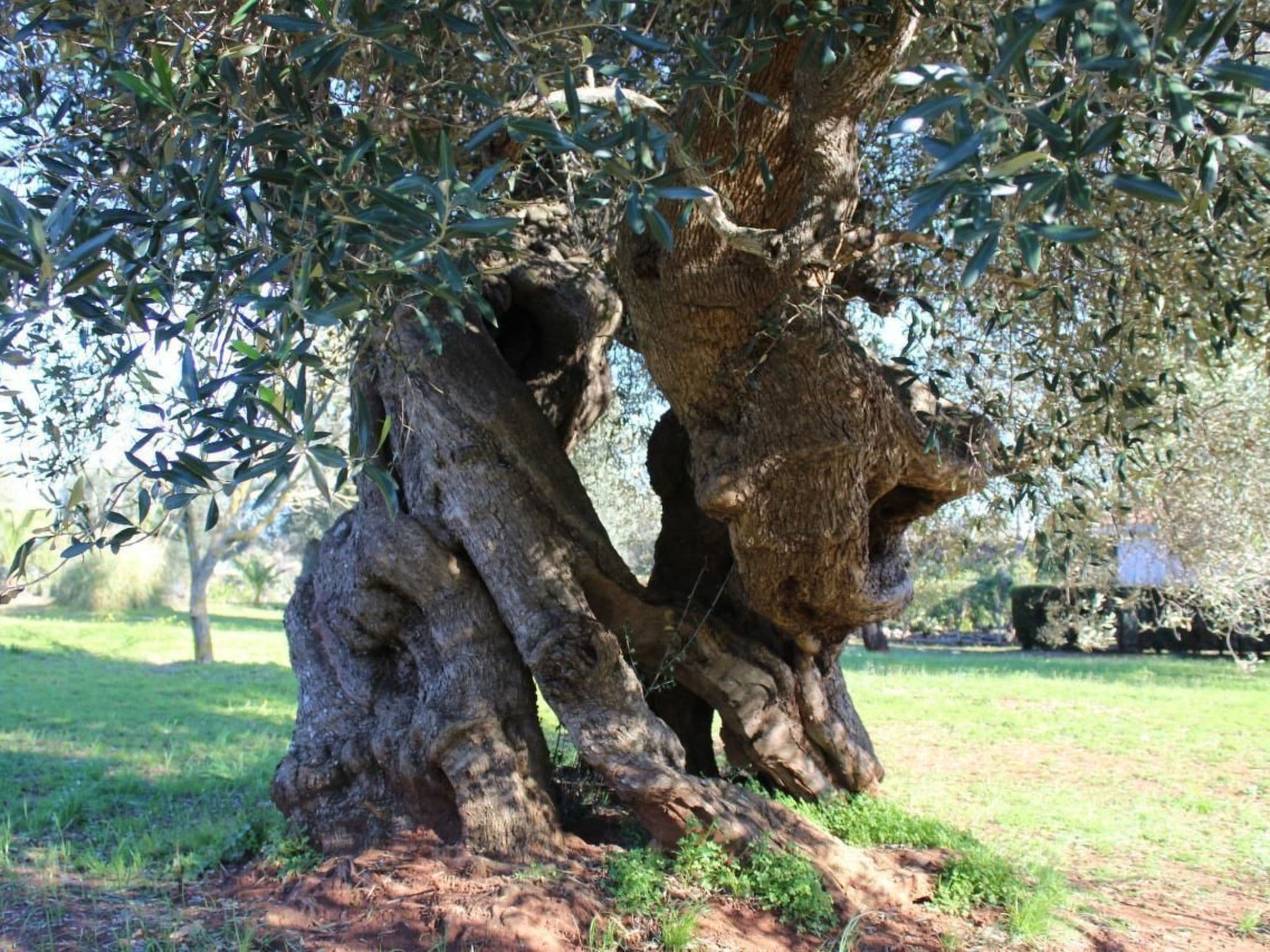 Gallery Image 19