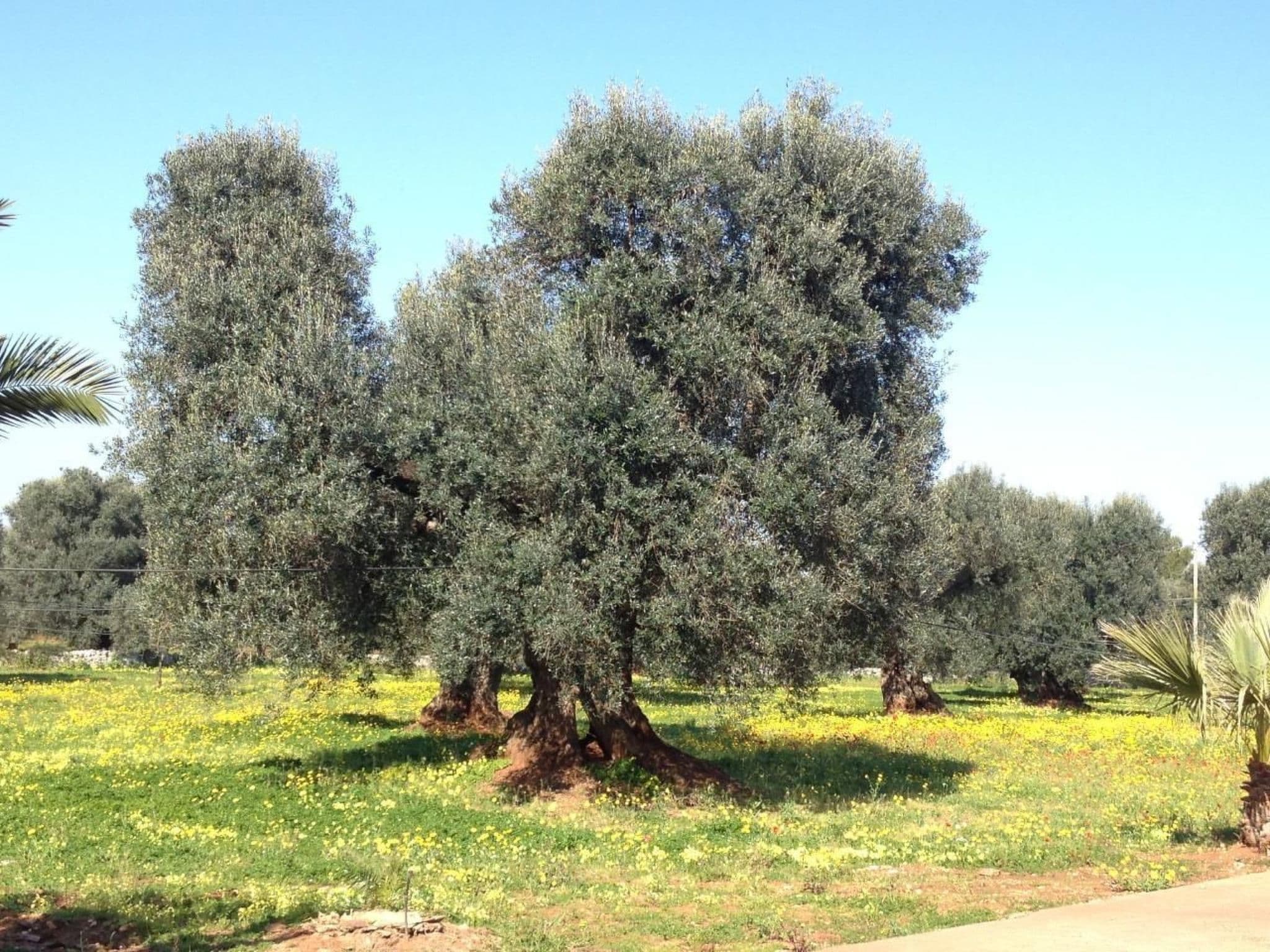 Gallery Image 22