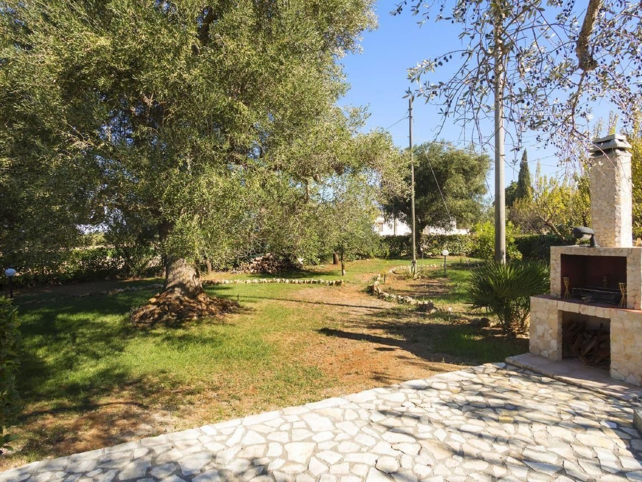 Gallery Image 25