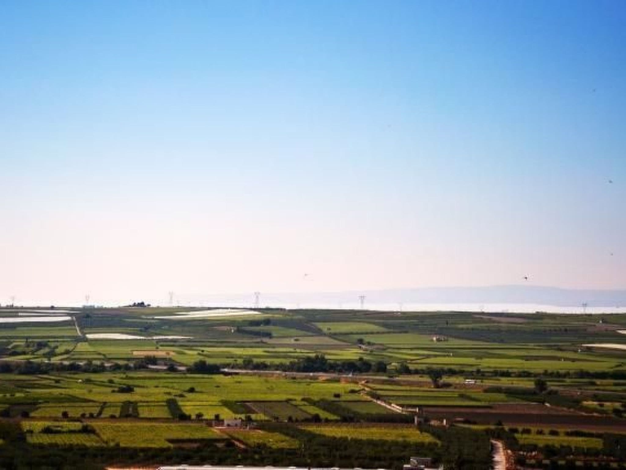 View