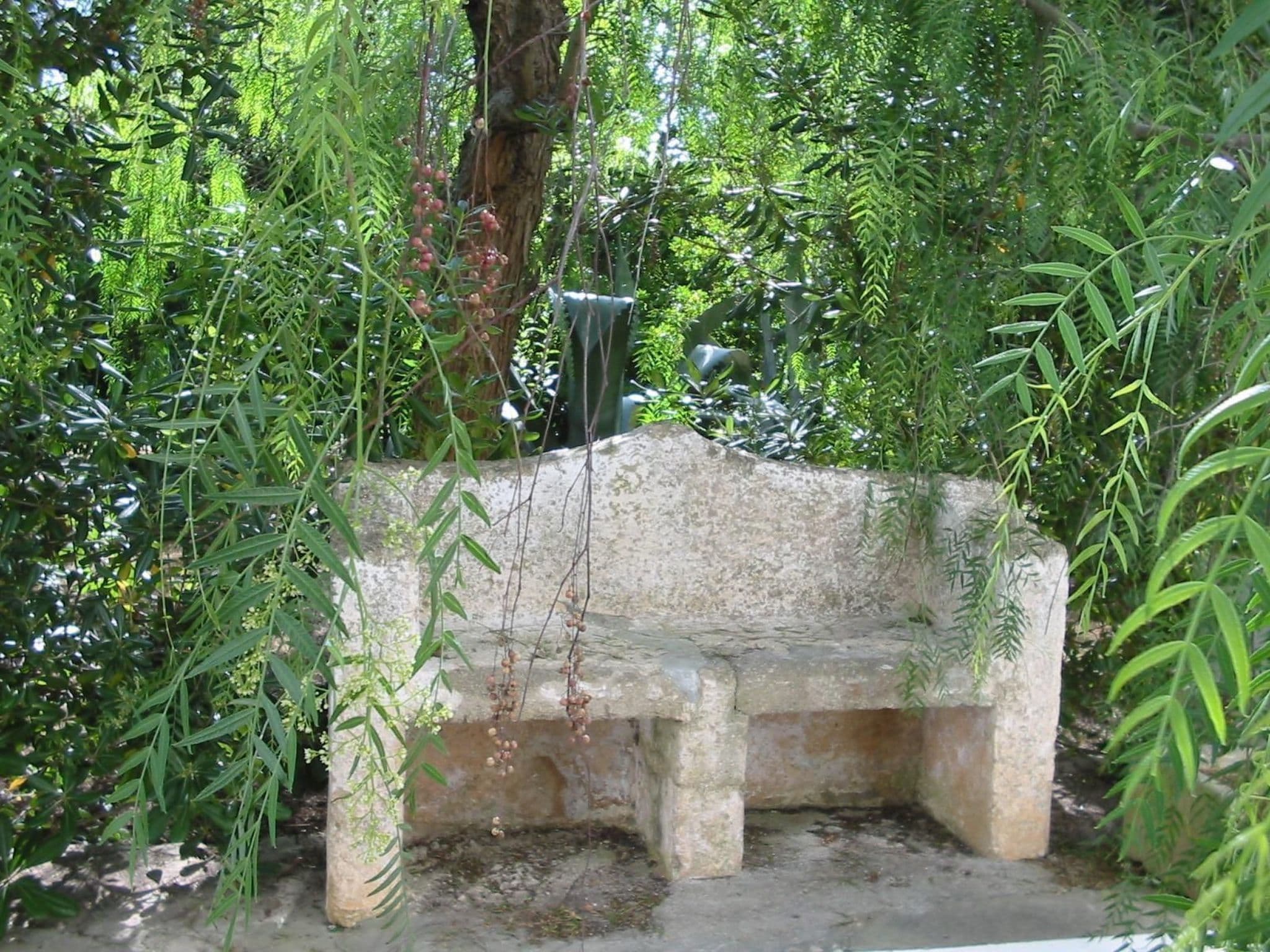 Gallery Image 8