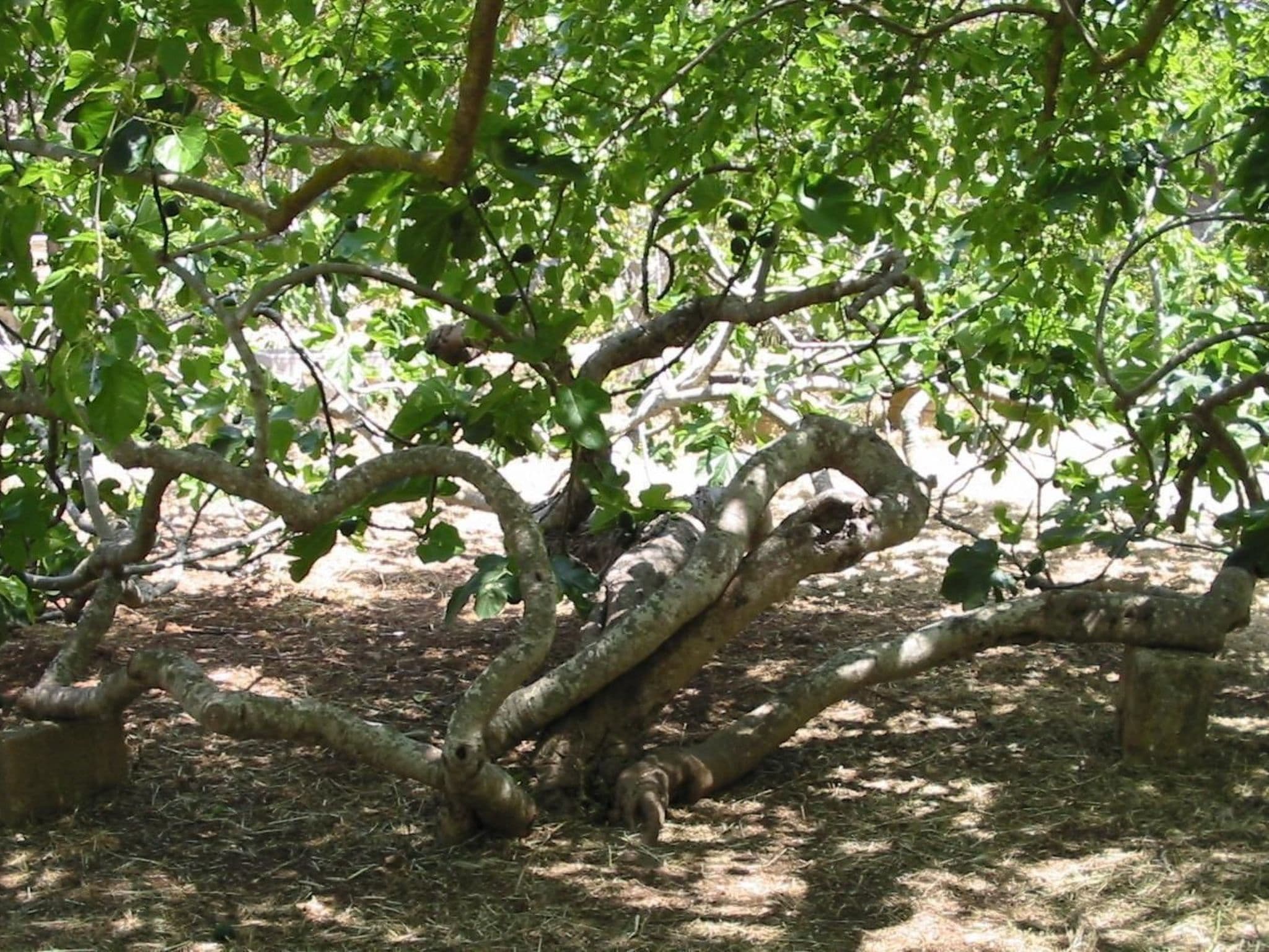 Gallery Image 10