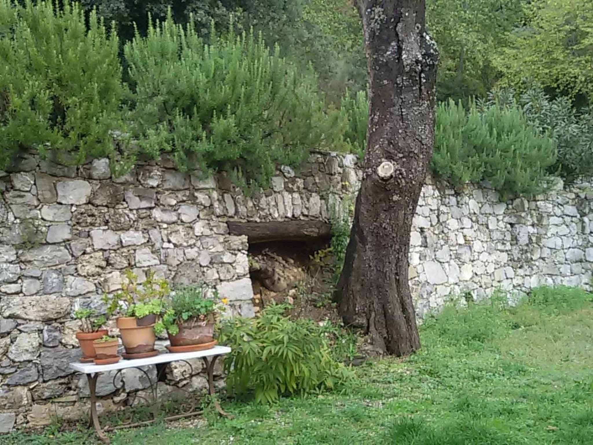 Gallery Image 19
