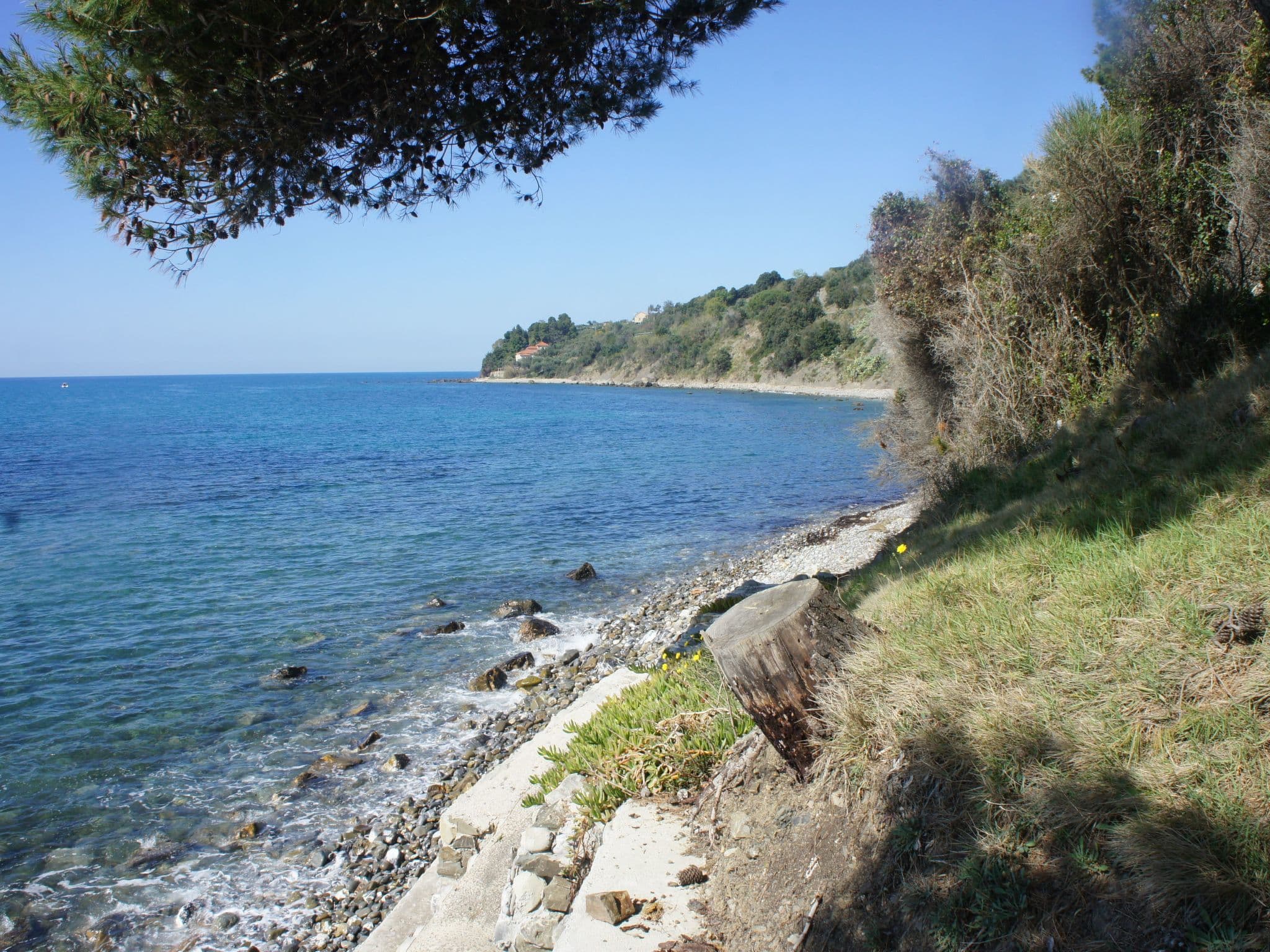 Gallery Image 28