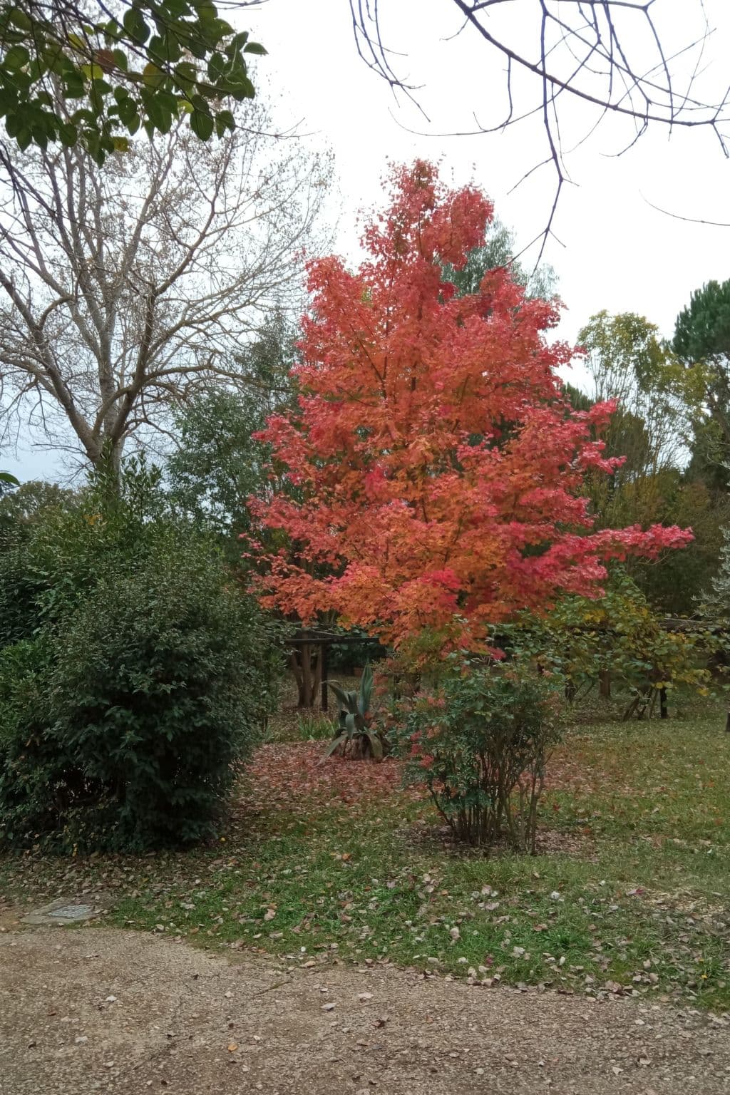Gallery Image 11