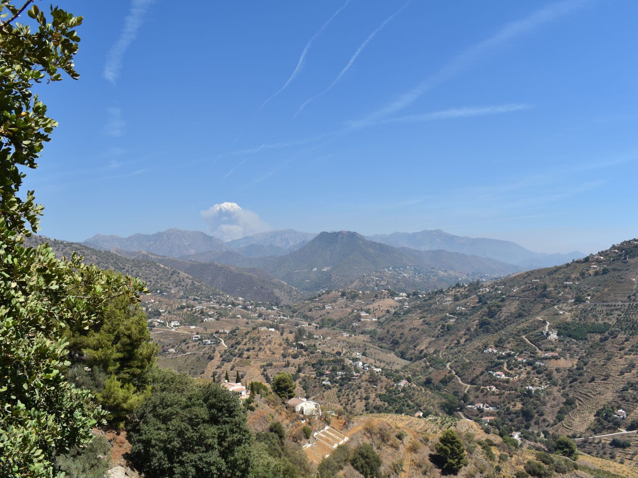 View