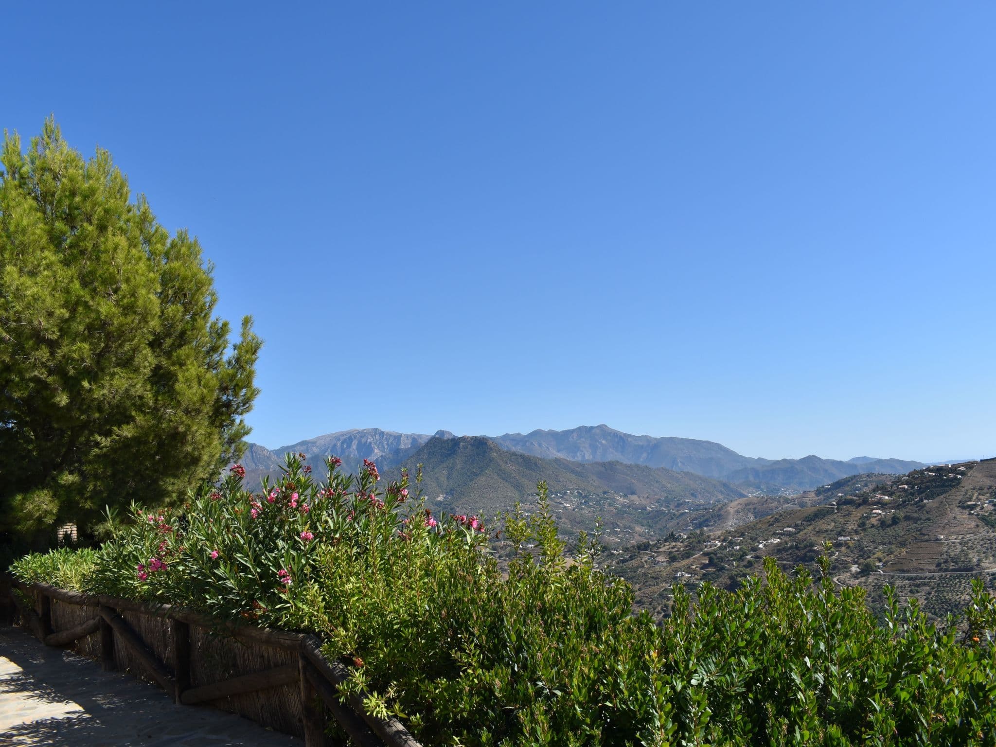 View