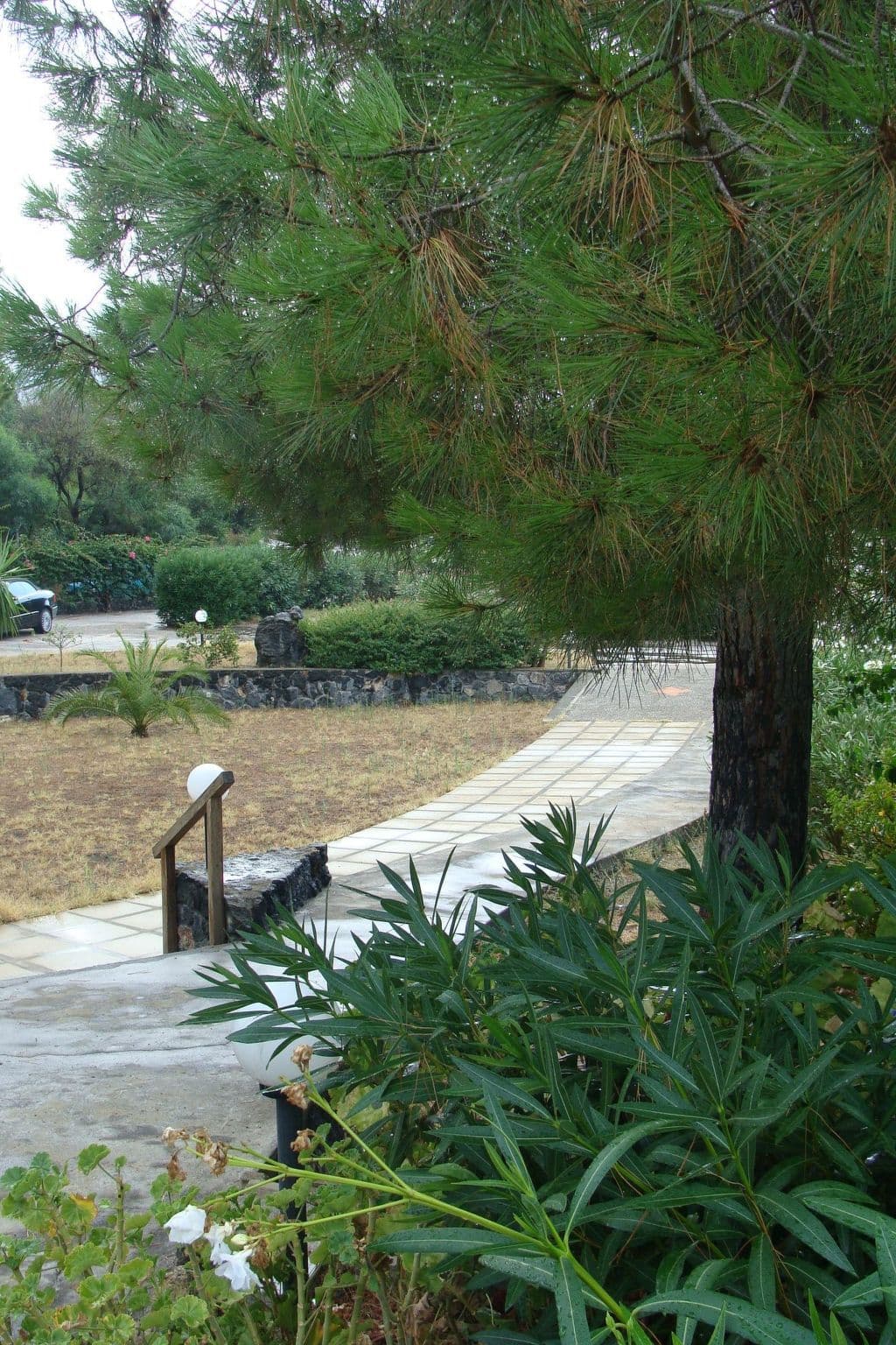 Gallery Image 22