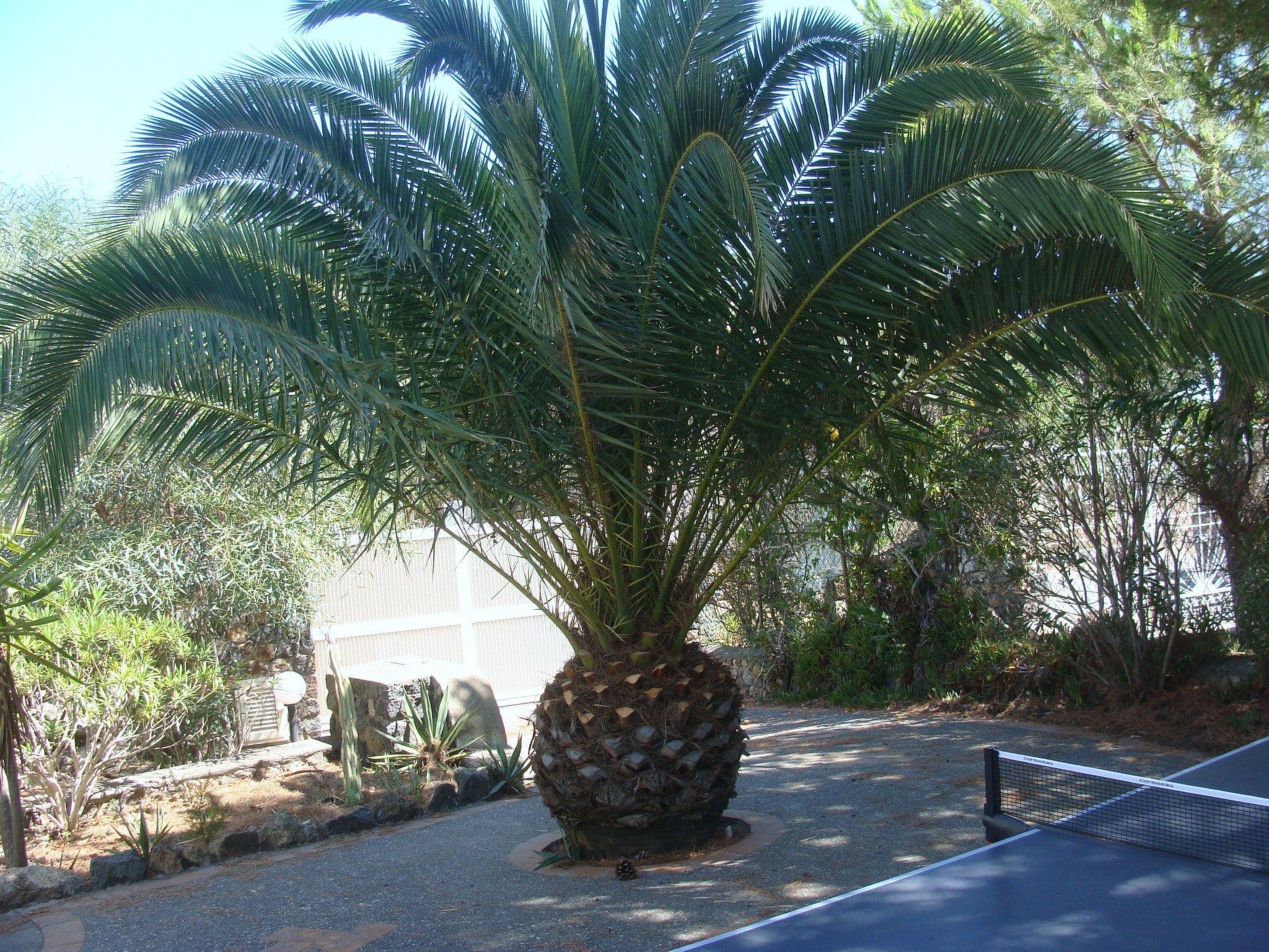 Gallery Image 31