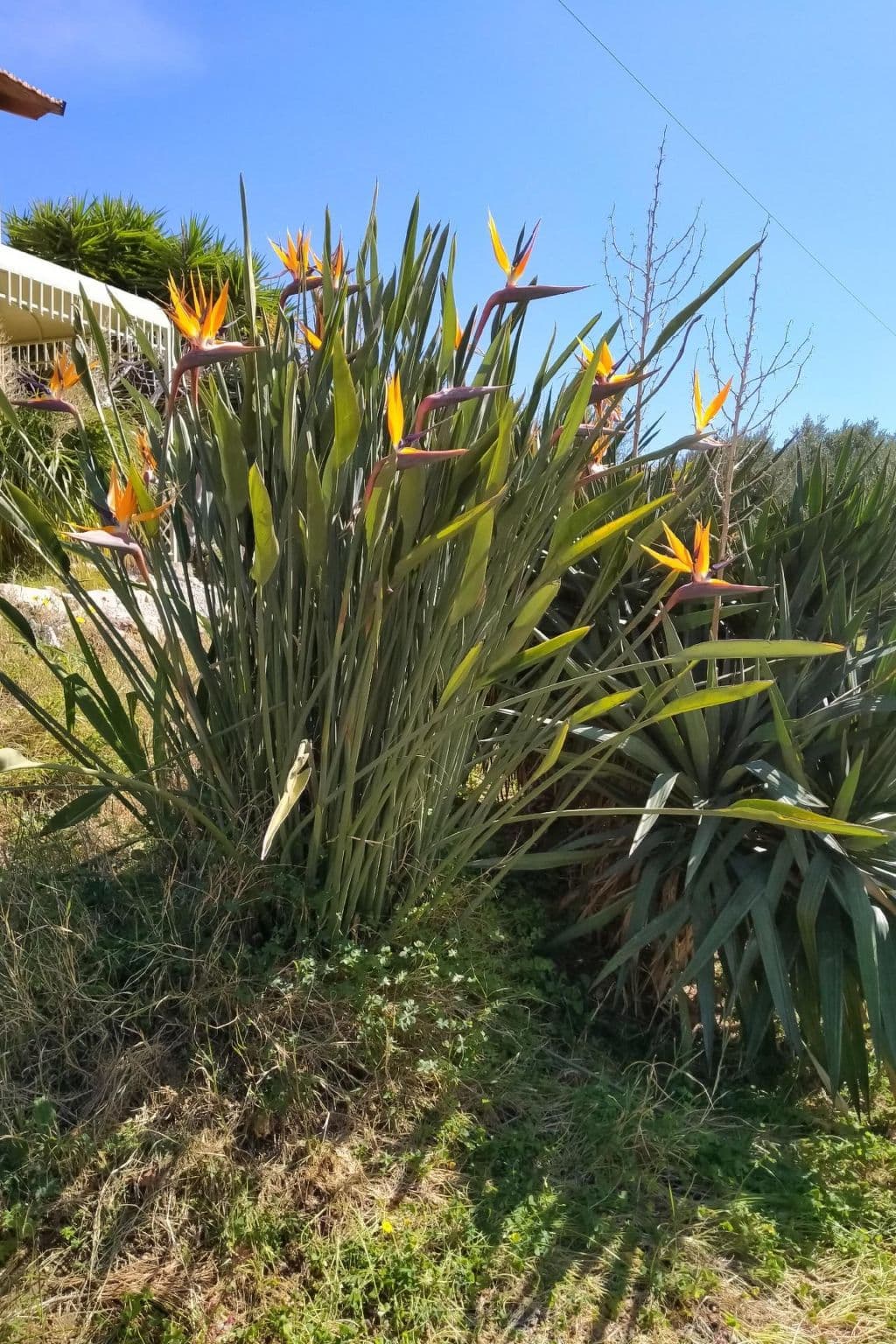 Gallery Image 13