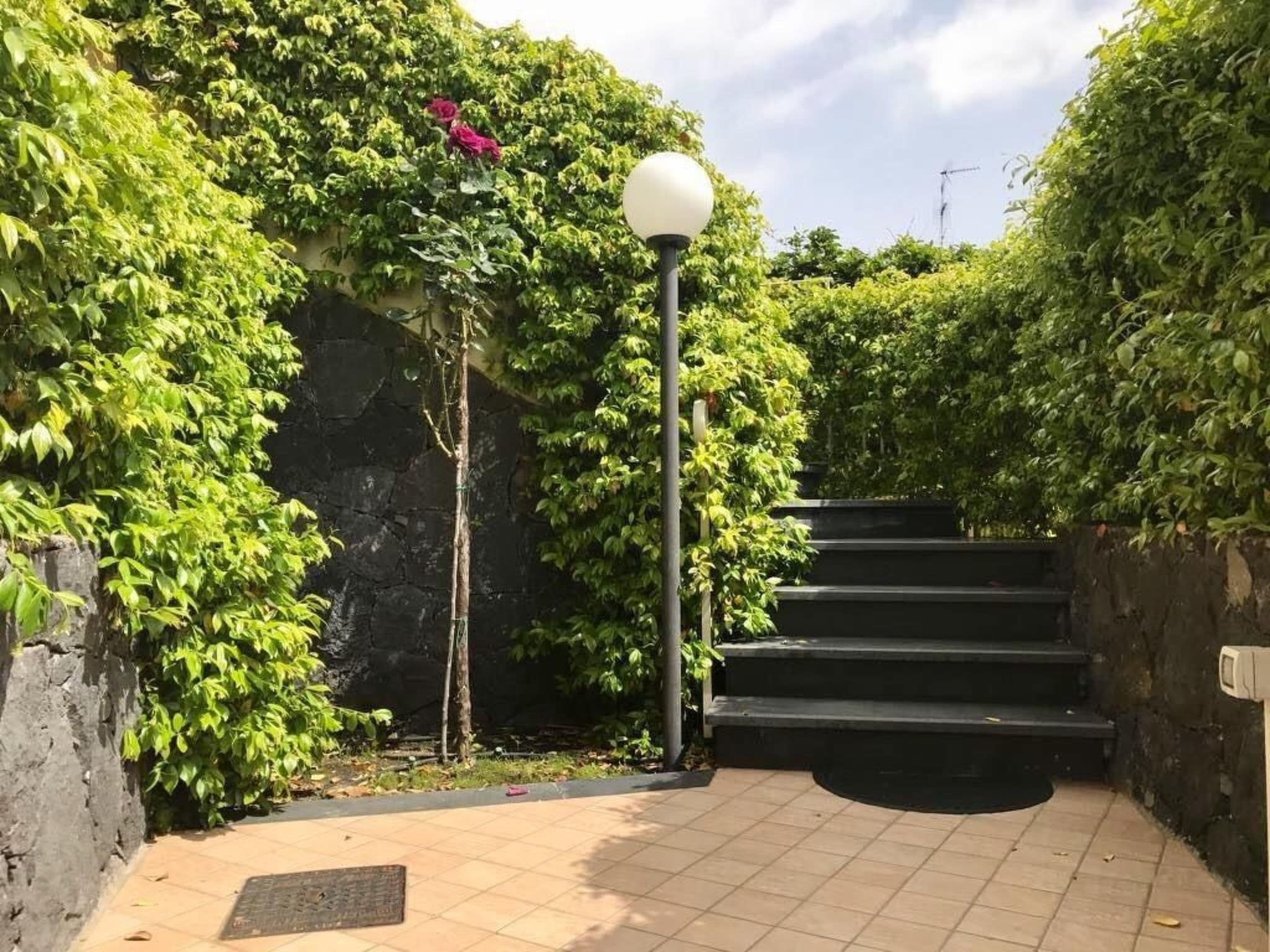 Gallery Image 21