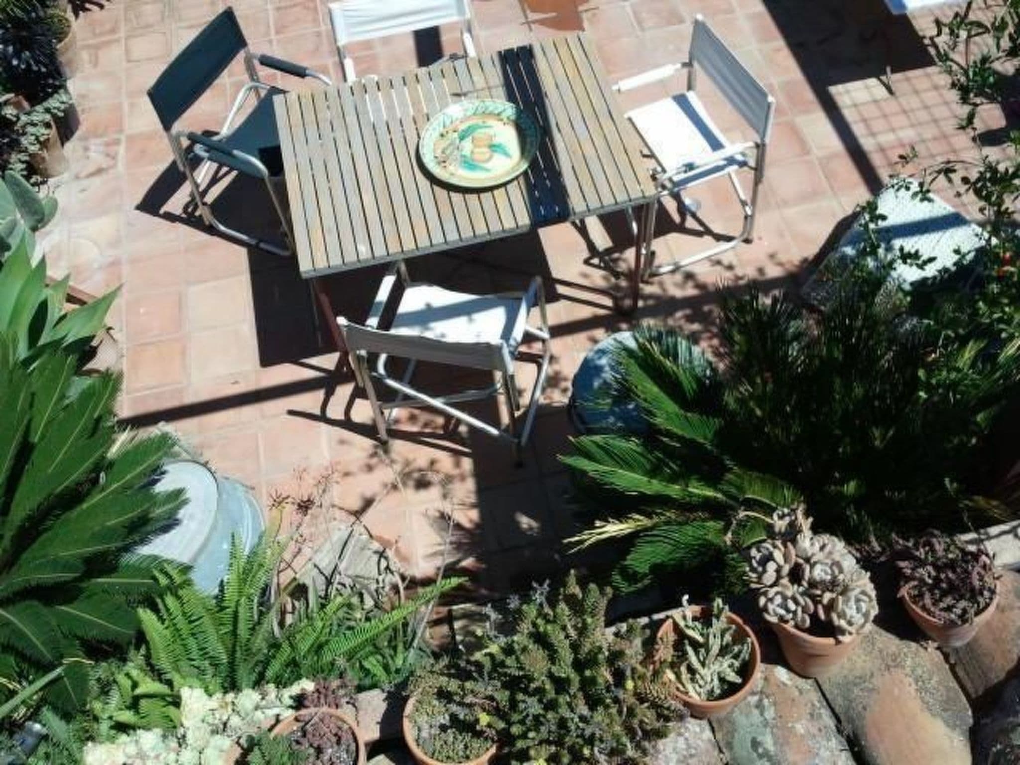 Gallery Image 13