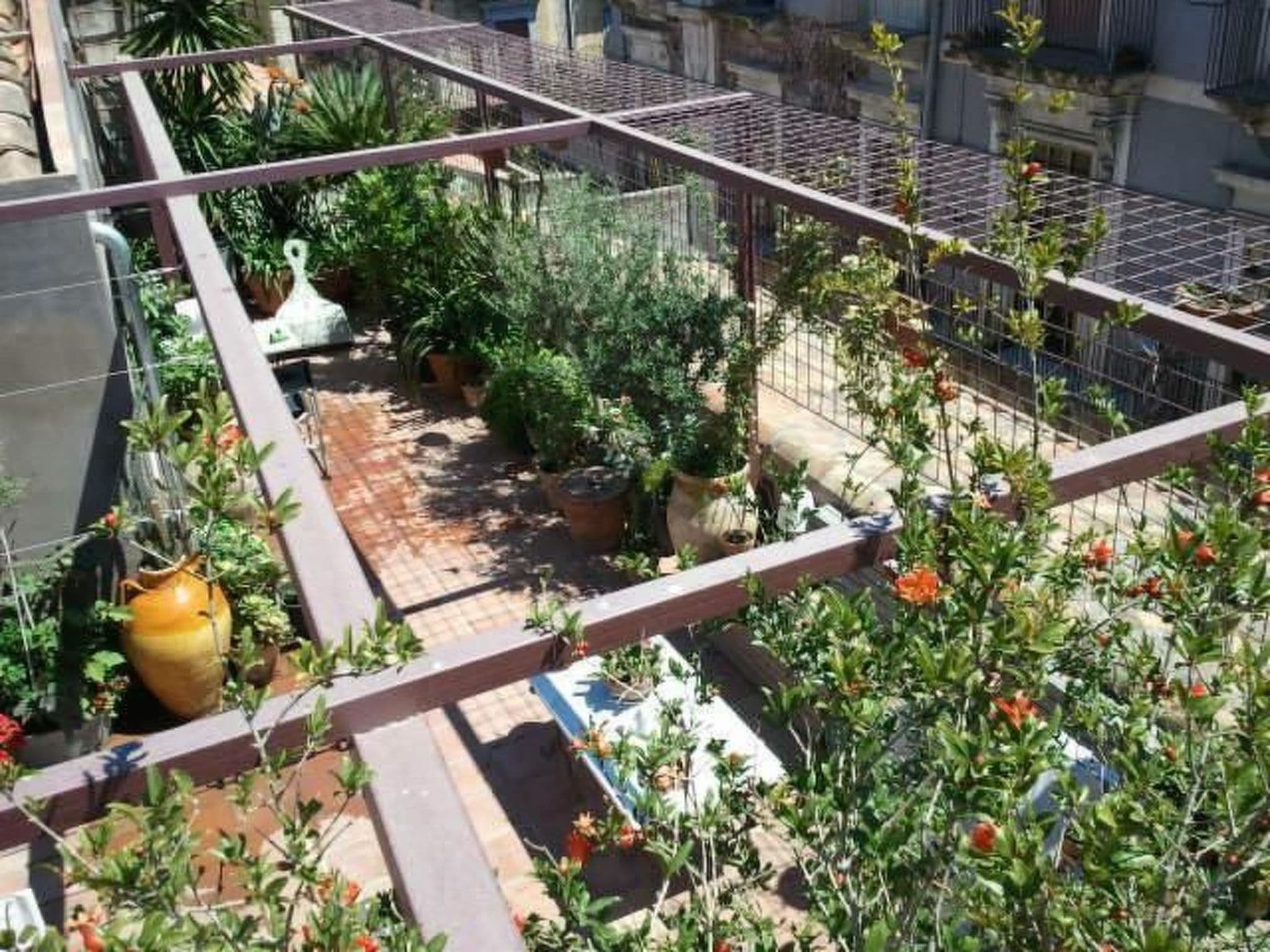 Gallery Image 15