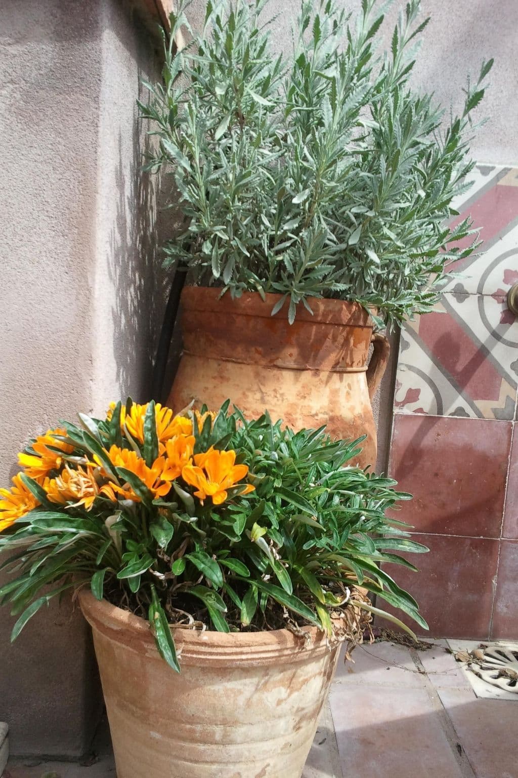 Gallery Image 22
