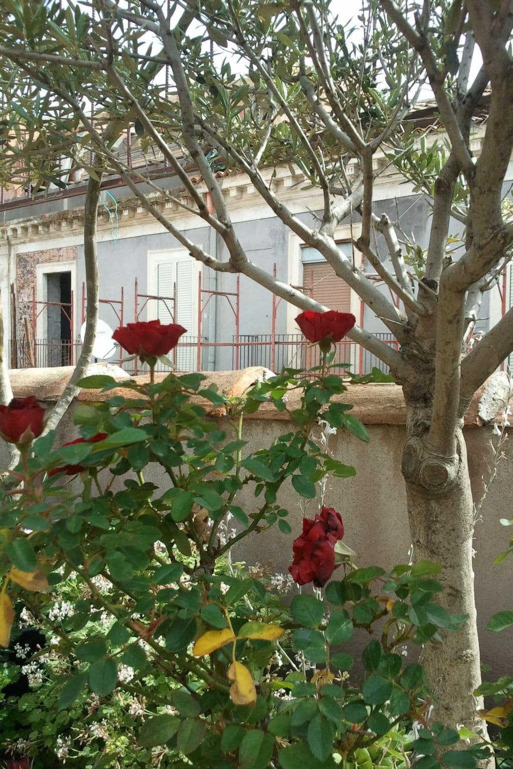 Gallery Image 23