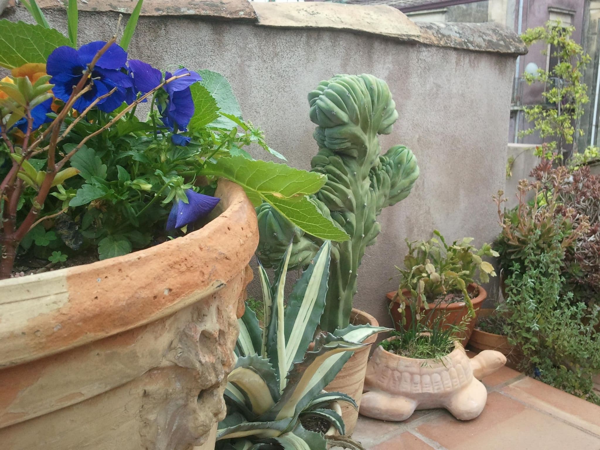 Gallery Image 24