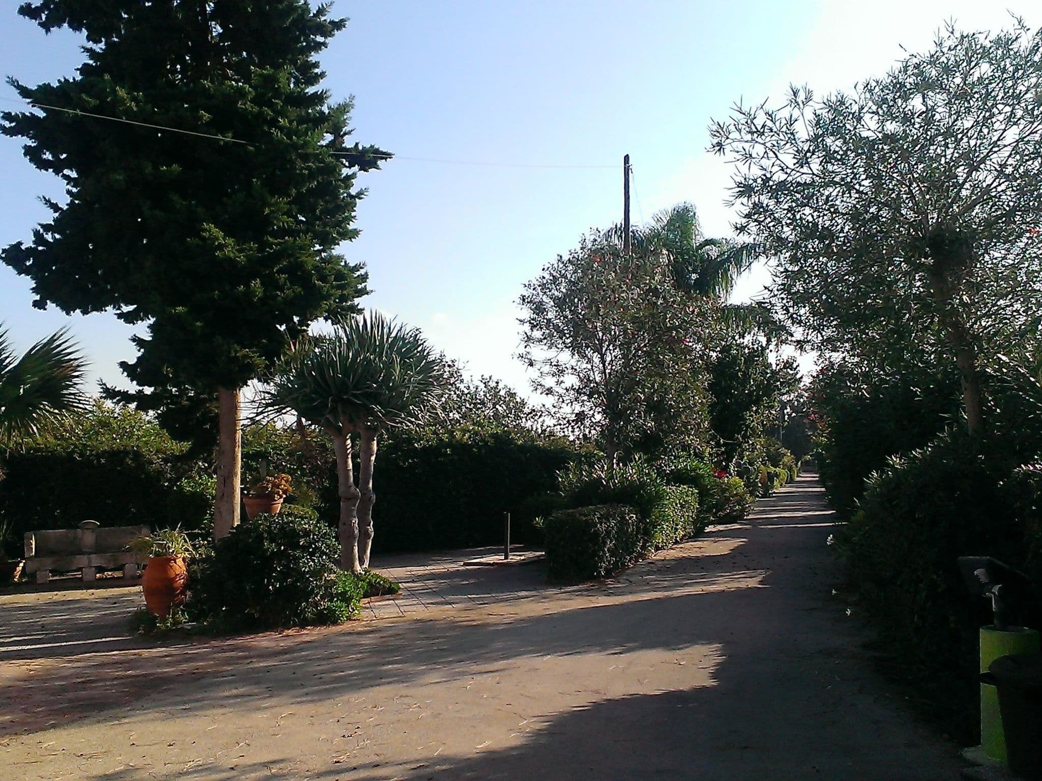 Gallery Image 32