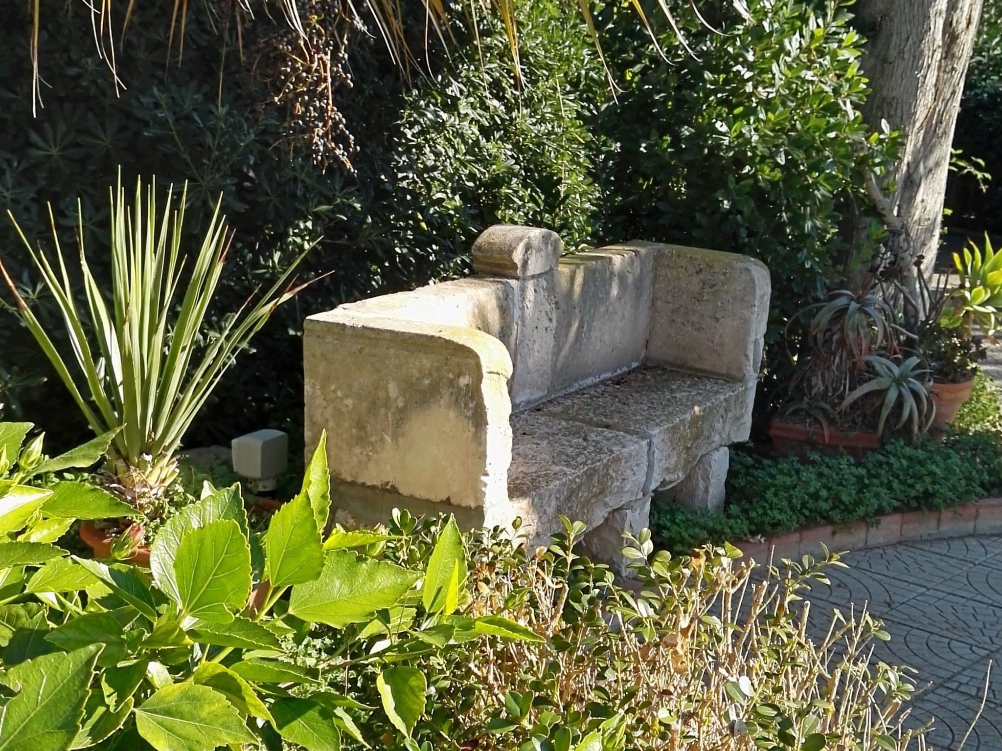 Gallery Image 35