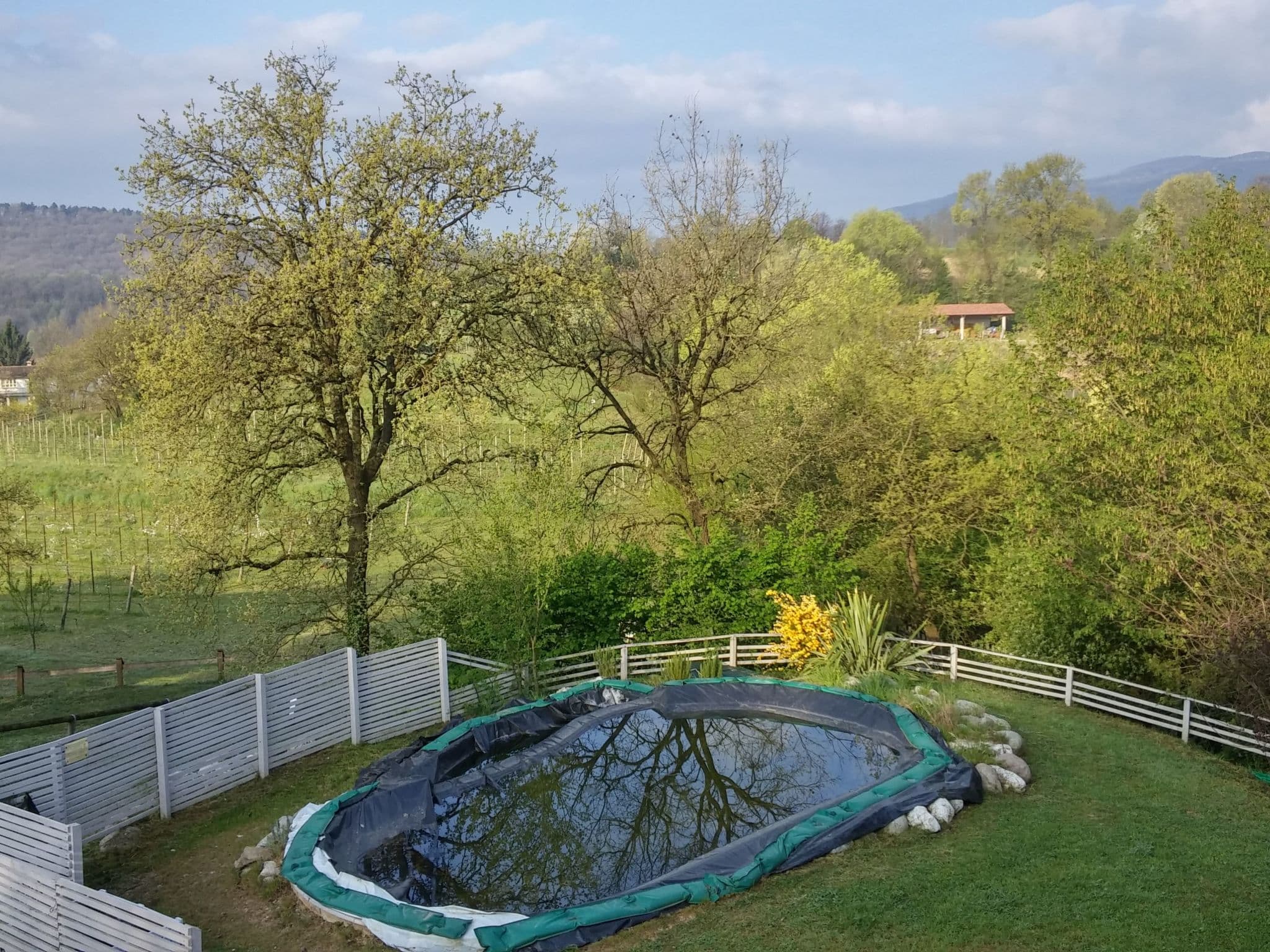 Pool Outdoor