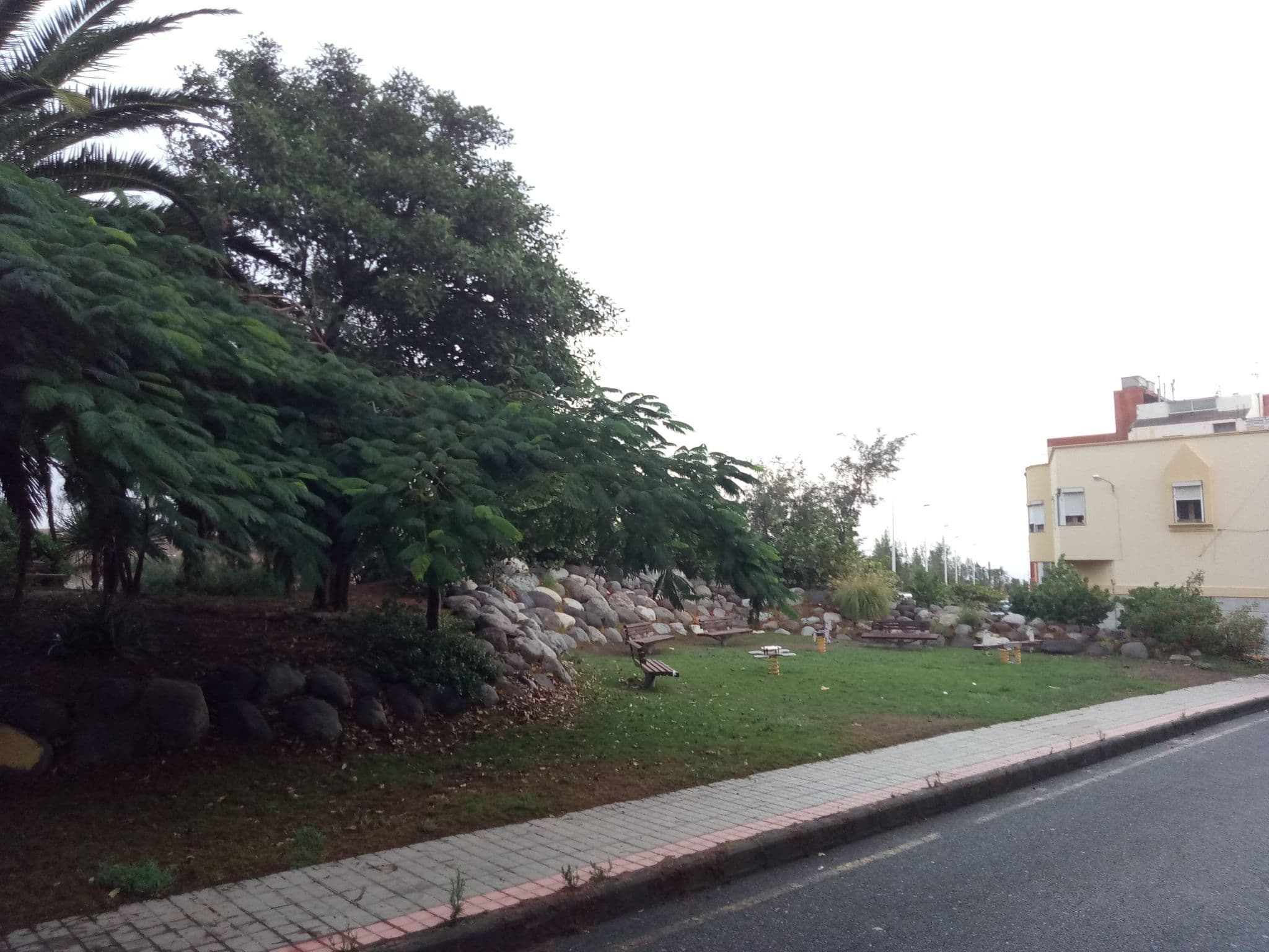 Gallery Image 12