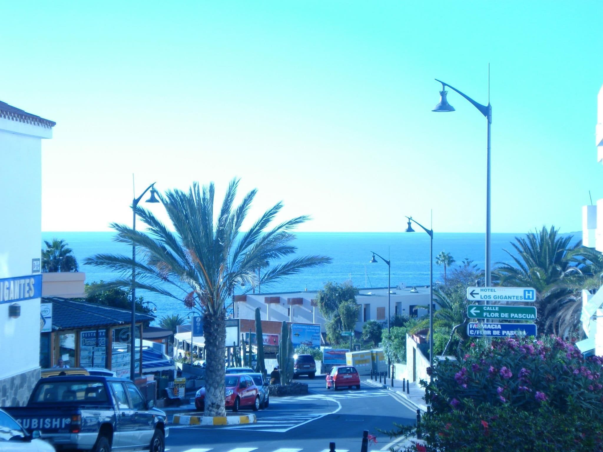 Gallery Image 9