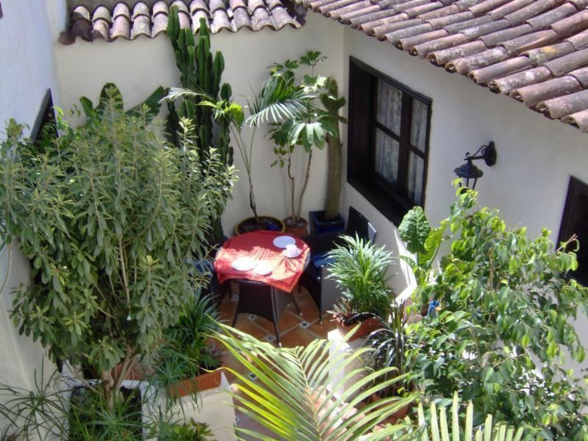 Gallery Image 7