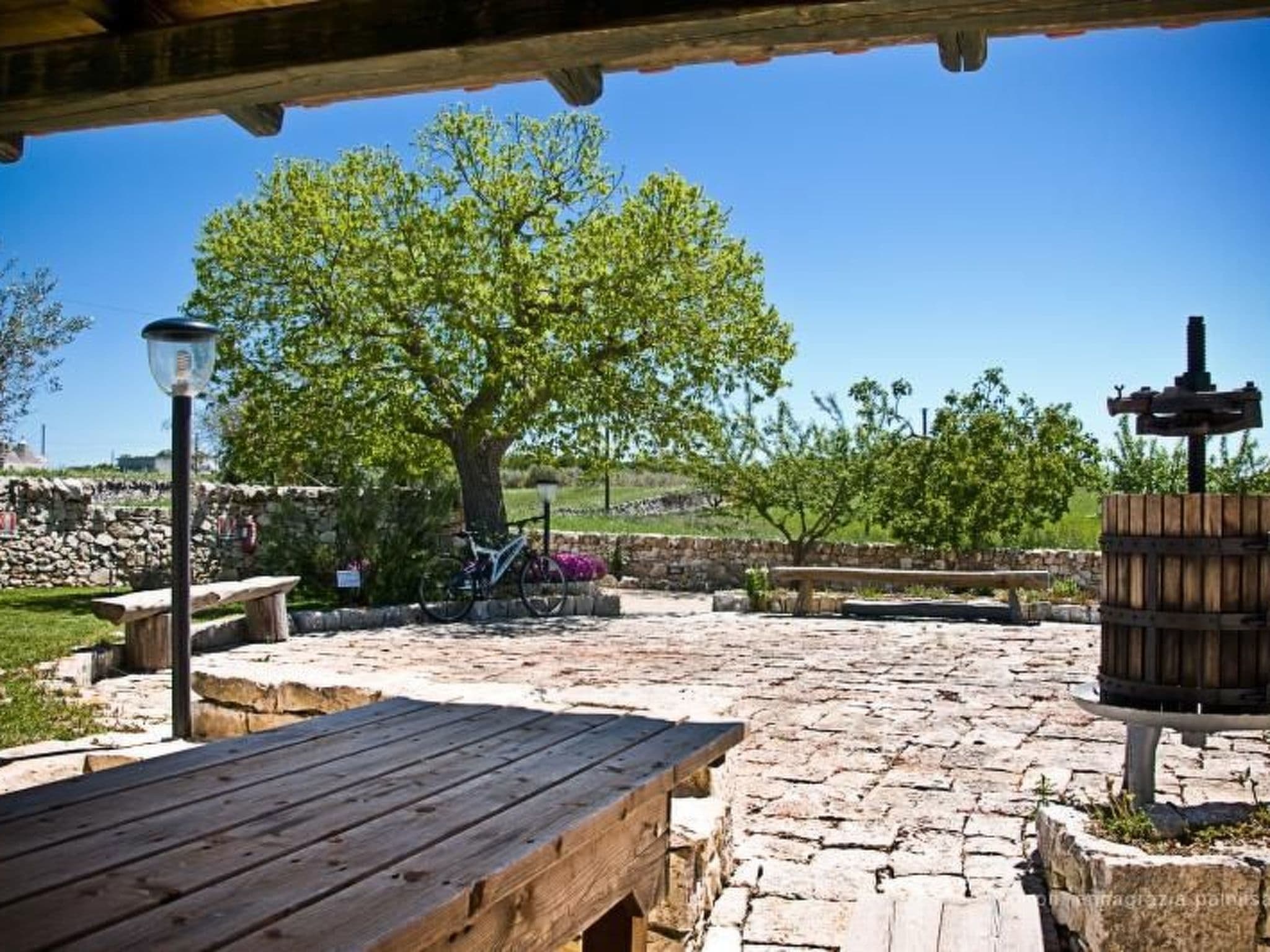 Gallery Image 53