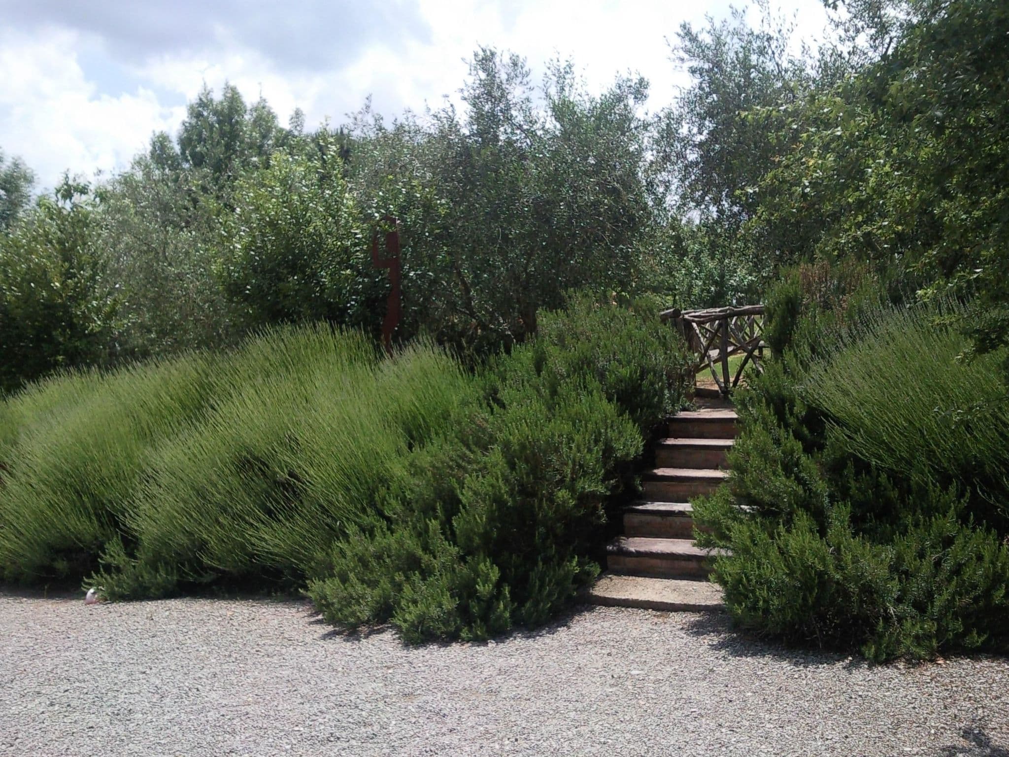 Gallery Image 38