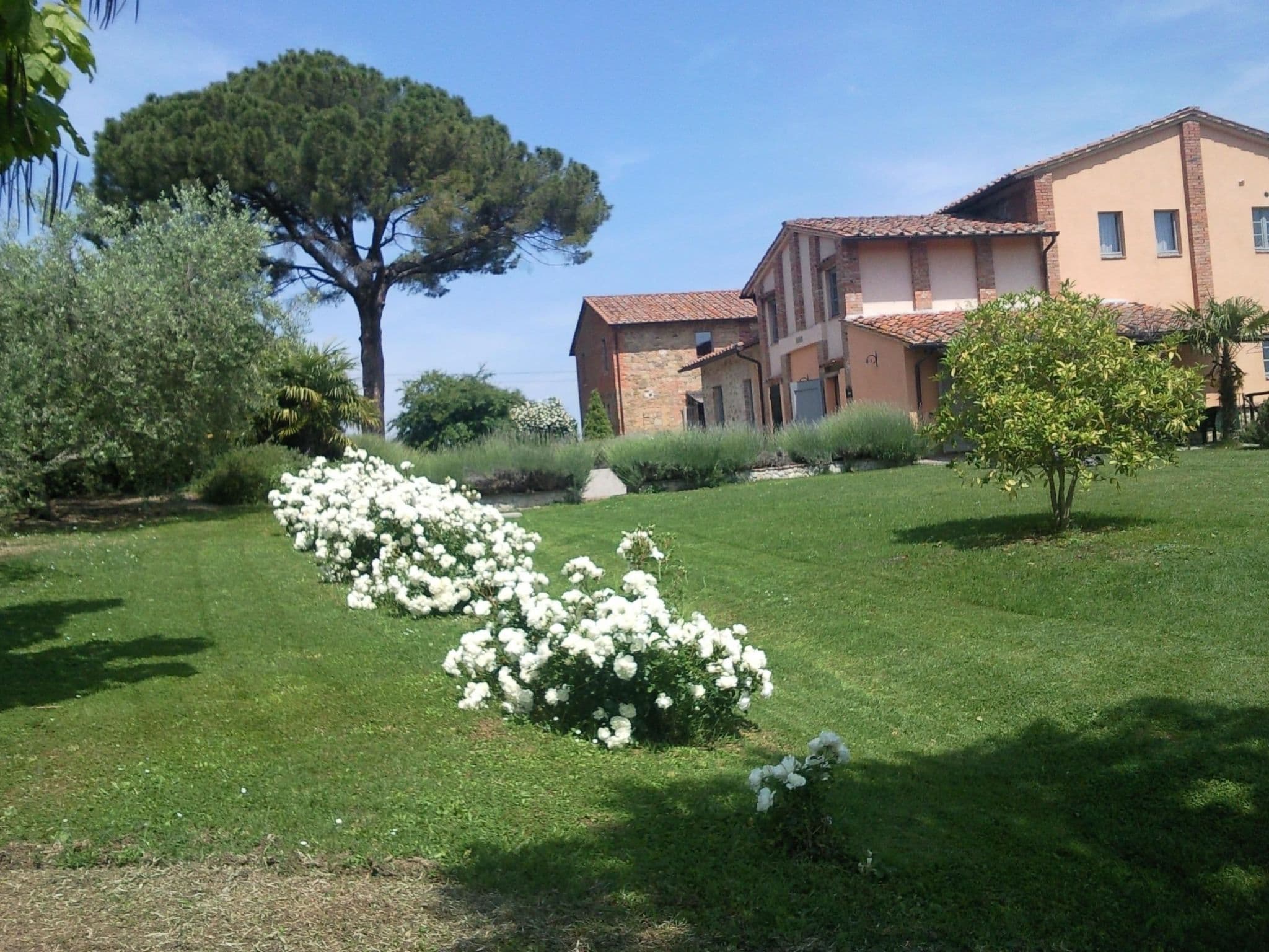 Gallery Image 39
